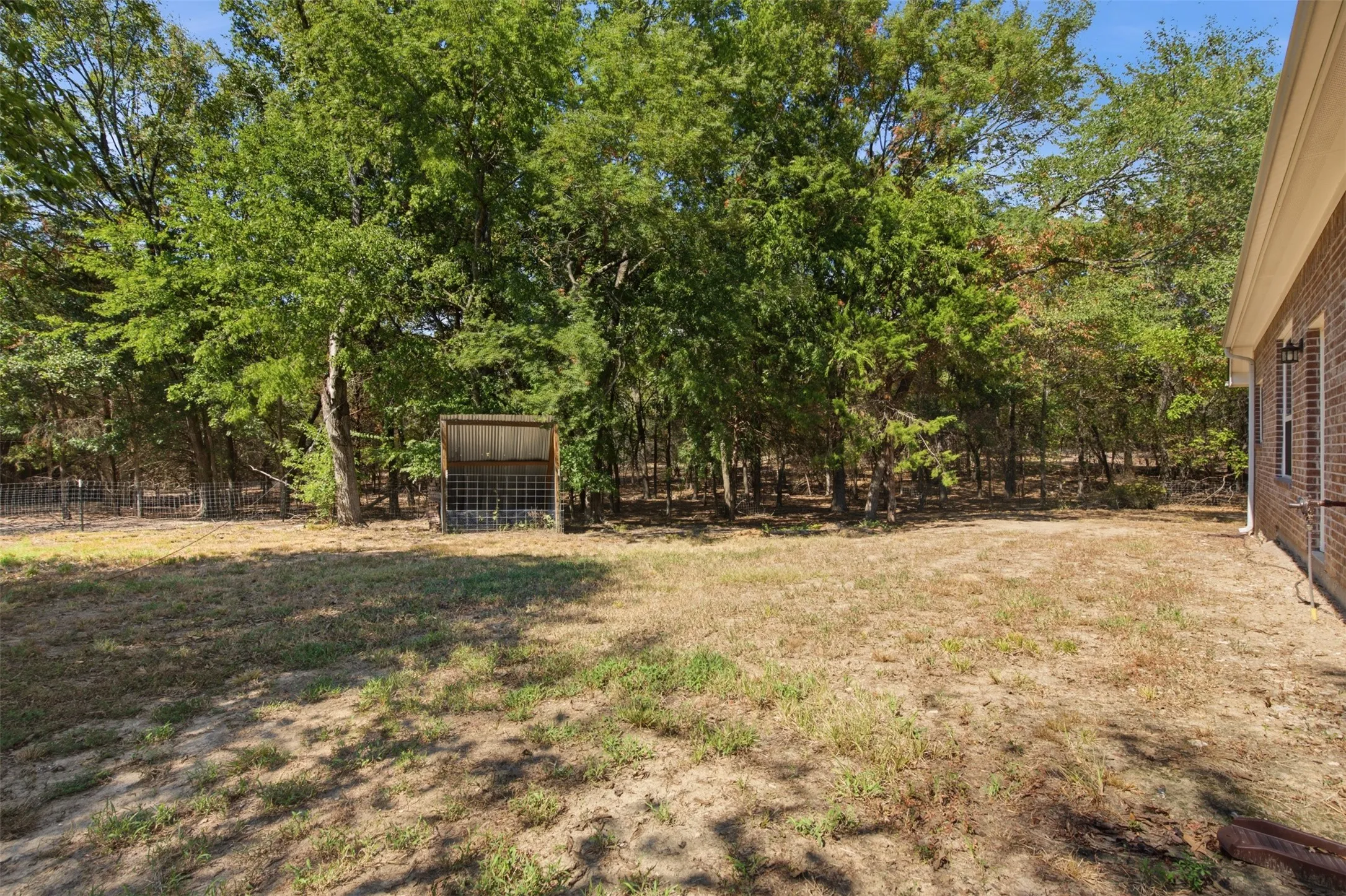Back of yard showing sheep equipment