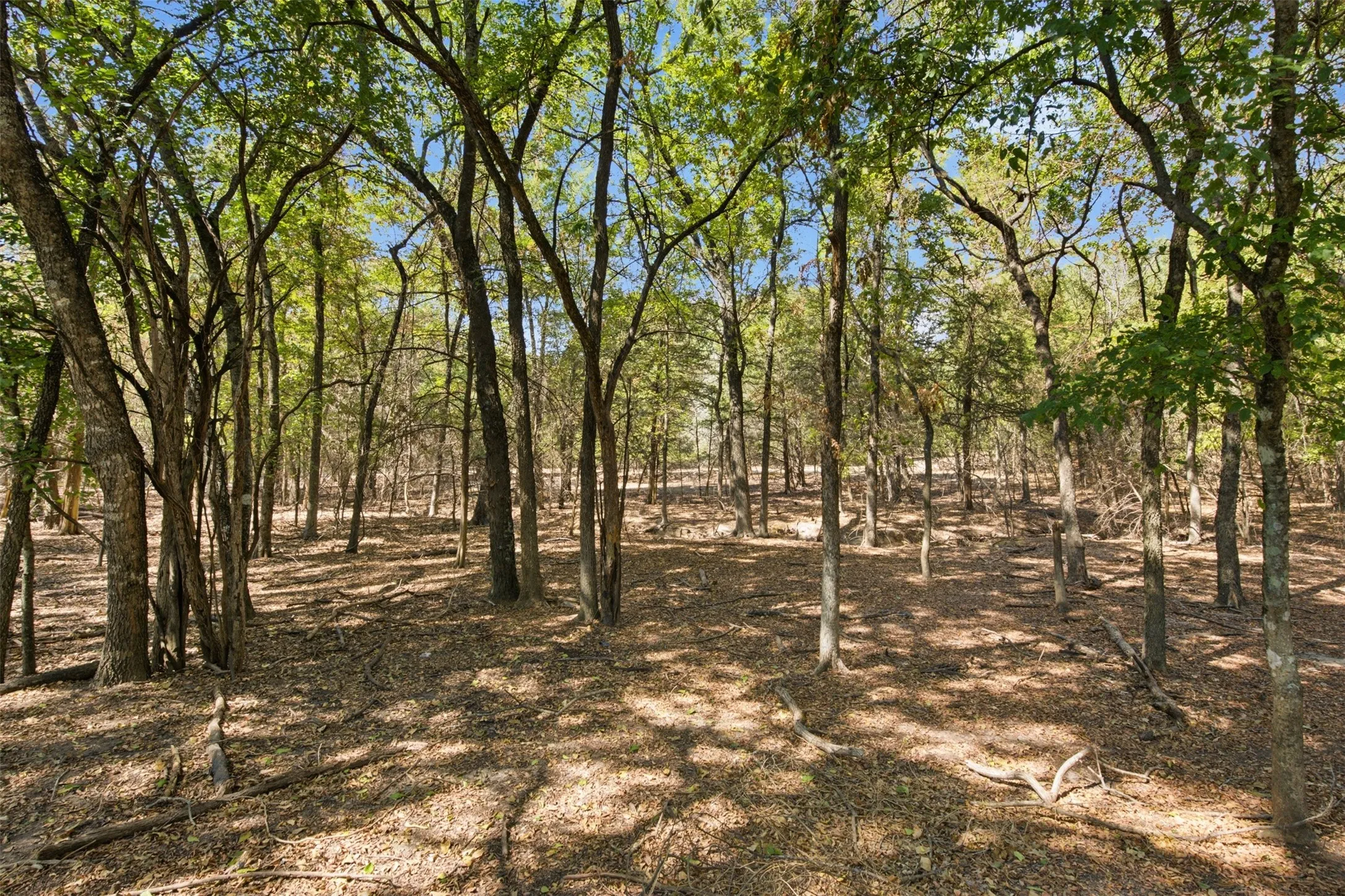 Single Family Residence For Sale in Hunt County , 5000 FM 2947, Greenville, Texas 75402, 3 Bedroom, 2 Bathroom, 2 Garage spaces, 1,756 Sqft, built in 2021, mls#21374747, Real Estate Agent in Greenville, Homes For Sale in Hunt county, Homes For Sale in Greenville, Realtor in Greenville Texas, Real Estate Brokerage Independent Realty Texas, Luminita Cordes Realtor