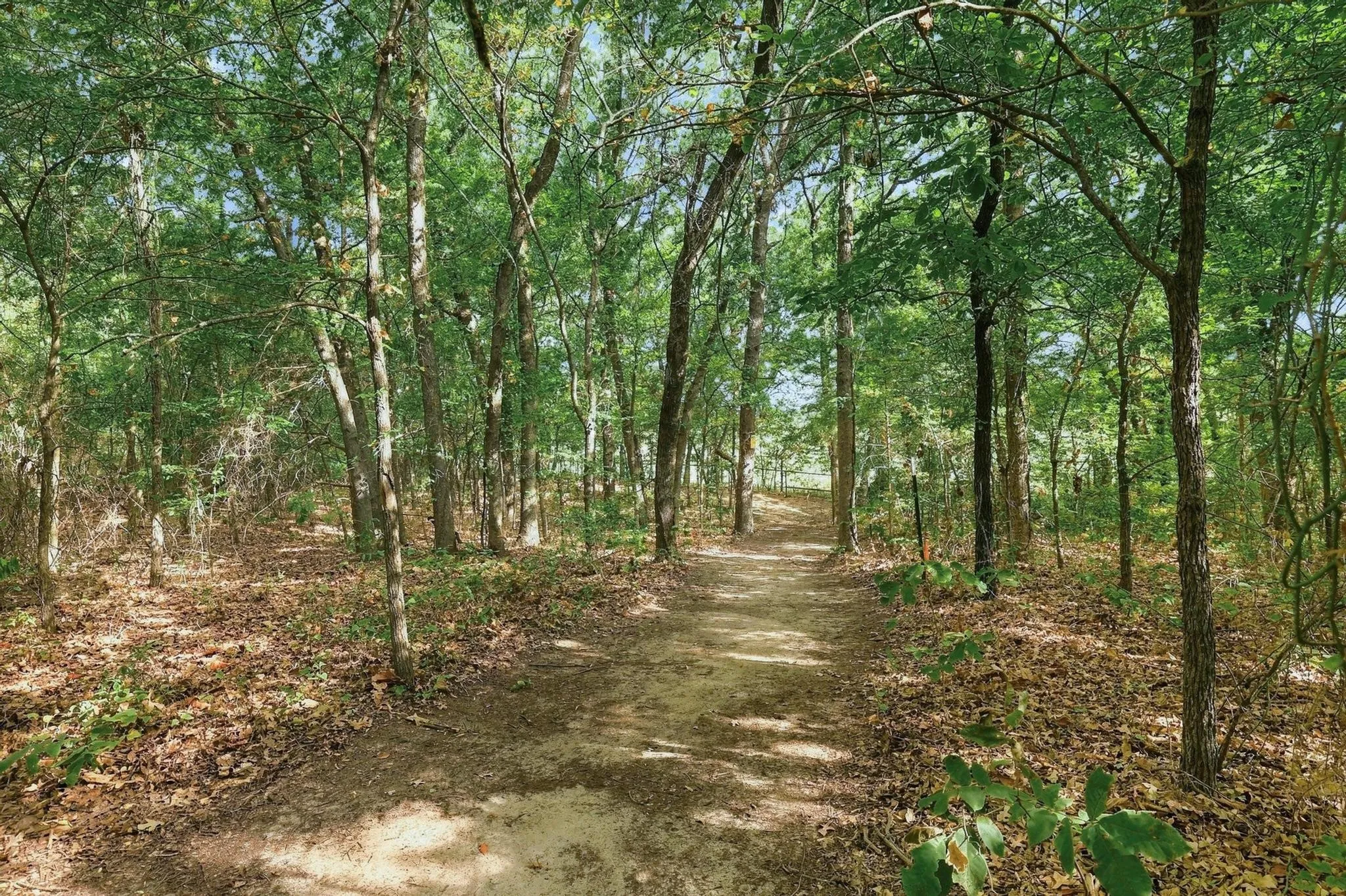 Single Family Residence For Sale in Grayson County , 230 Frosty Hollow Road, Denison, Texas 75021, 5 Bedroom, 3 Bathroom, Garage spaces, 2,700 Sqft, built in 1976, mls#21375834, Real Estate Agent in Denison, Homes For Sale in Grayson county, Homes For Sale in Denison, Realtor in Denison Texas, Real Estate Brokerage Independent Realty Texas, Luminita Cordes Realtor