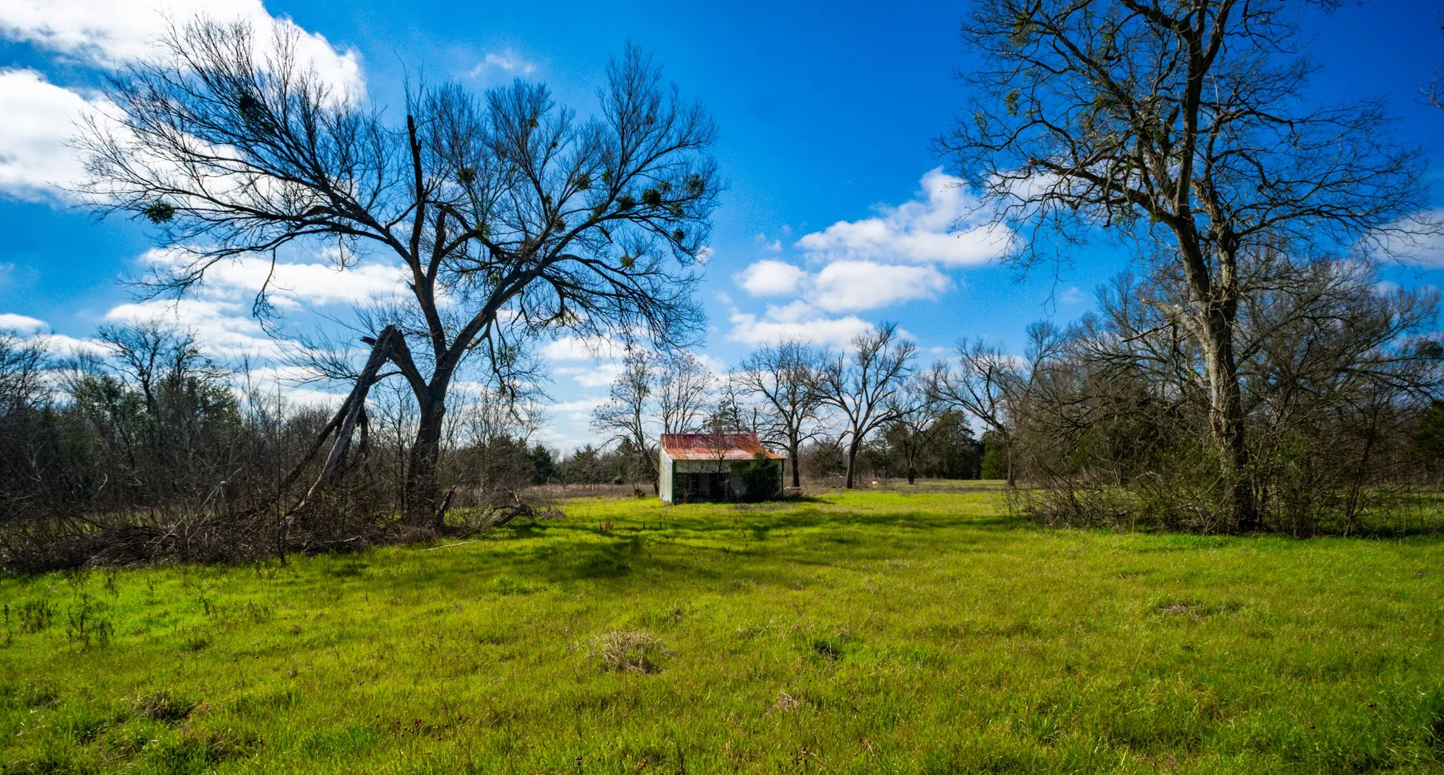 Single Family Residence For Sale in Freestone County , 115 E Brazos, Wortham, Texas 76693, 4 Bedroom, 2 Bathroom, 2 Garage spaces, 3,130 Sqft, built in 1910, mls#21377363, Real Estate Agent in Wortham, Homes For Sale in Freestone county, Homes For Sale in Wortham, Realtor in Wortham Texas, Real Estate Brokerage Independent Realty Texas, Luminita Cordes Realtor