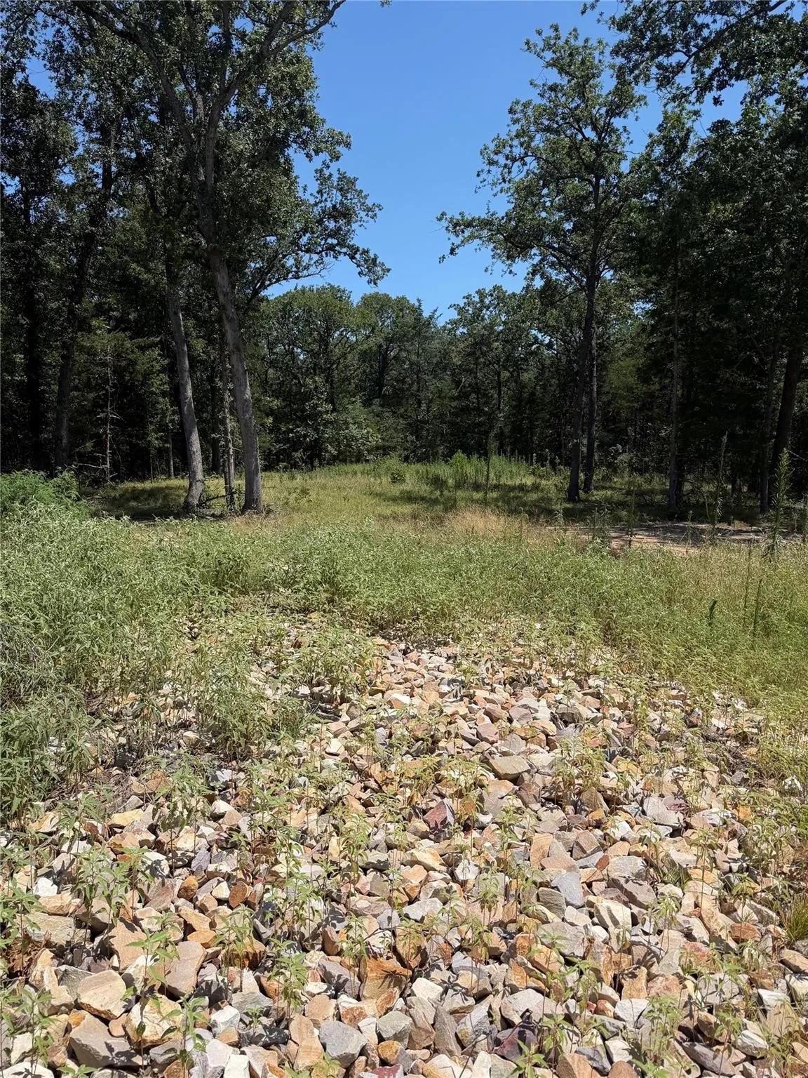 Improved Land For Sale in Hunt County , TBD FM-1567, Lone Oak, Texas 75453, 0, 0, Garage spaces, 0 Sqft, built in 0, mls#21377394, Real Estate Agent in Lone Oak, Homes For Sale in Hunt county, Homes For Sale in Lone Oak, Realtor in Lone Oak Texas, Real Estate Brokerage Independent Realty Texas, Luminita Cordes Realtor