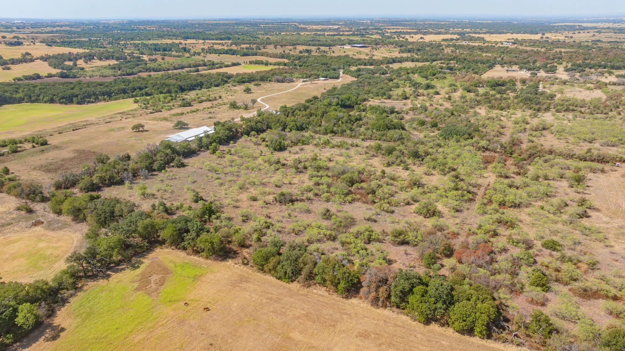 Unimproved Land For Sale in Erath County , 1880 County Road 371, Dublin, Texas 76446, 0, 0, Garage spaces, 0 Sqft, built in 0, mls#21377219, Real Estate Agent in Dublin, Homes For Sale in Erath county, Homes For Sale in Dublin, Realtor in Dublin Texas, Real Estate Brokerage Independent Realty Texas, Luminita Cordes Realtor