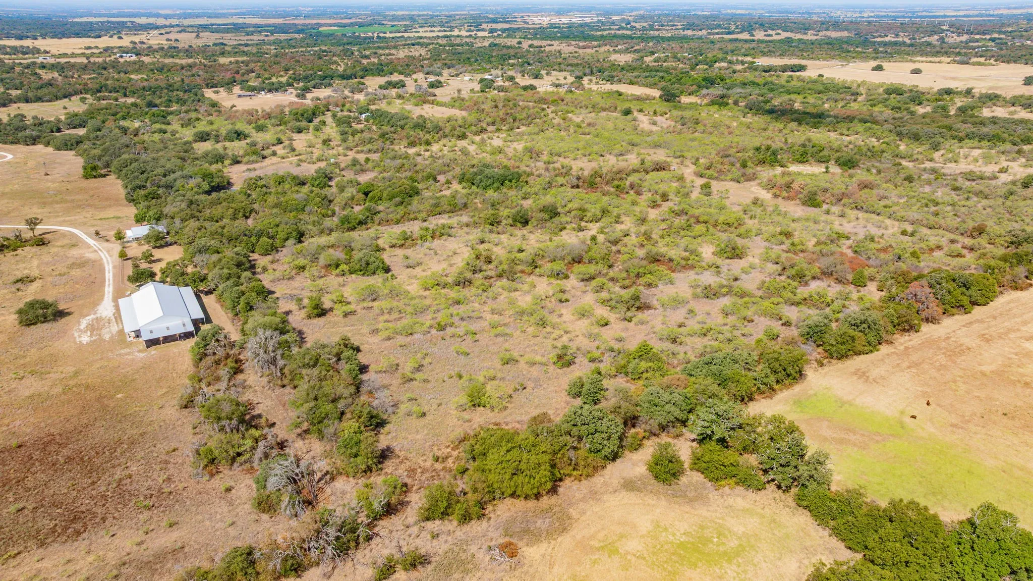 Unimproved Land For Sale in Erath County , 1880 County Road 371, Dublin, Texas 76446, 0, 0, Garage spaces, 0 Sqft, built in 0, mls#21377219, Real Estate Agent in Dublin, Homes For Sale in Erath county, Homes For Sale in Dublin, Realtor in Dublin Texas, Real Estate Brokerage Independent Realty Texas, Luminita Cordes Realtor