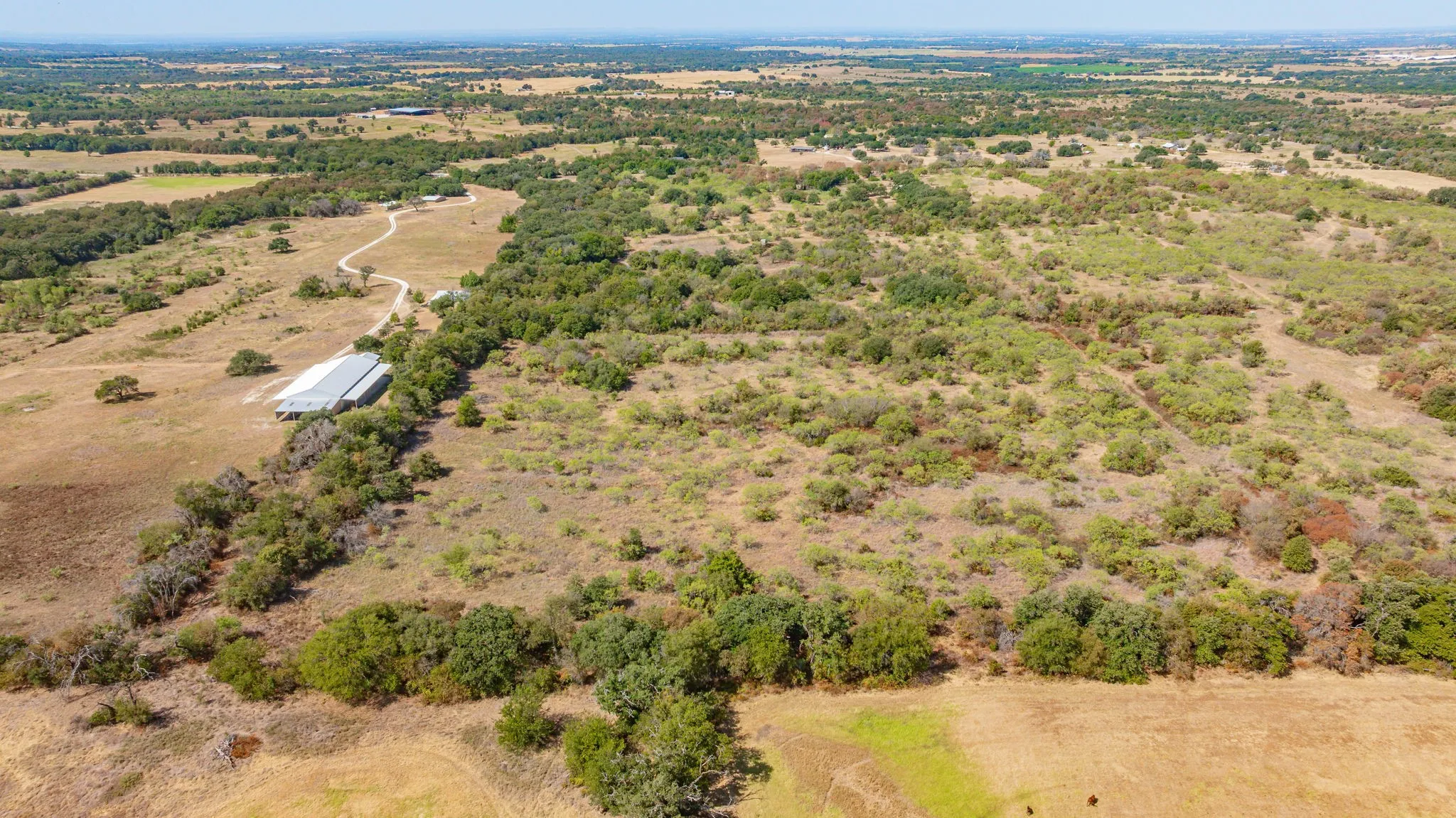 Unimproved Land For Sale in Erath County , 1880 County Road 371, Dublin, Texas 76446, 0, 0, Garage spaces, 0 Sqft, built in 0, mls#21377219, Real Estate Agent in Dublin, Homes For Sale in Erath county, Homes For Sale in Dublin, Realtor in Dublin Texas, Real Estate Brokerage Independent Realty Texas, Luminita Cordes Realtor