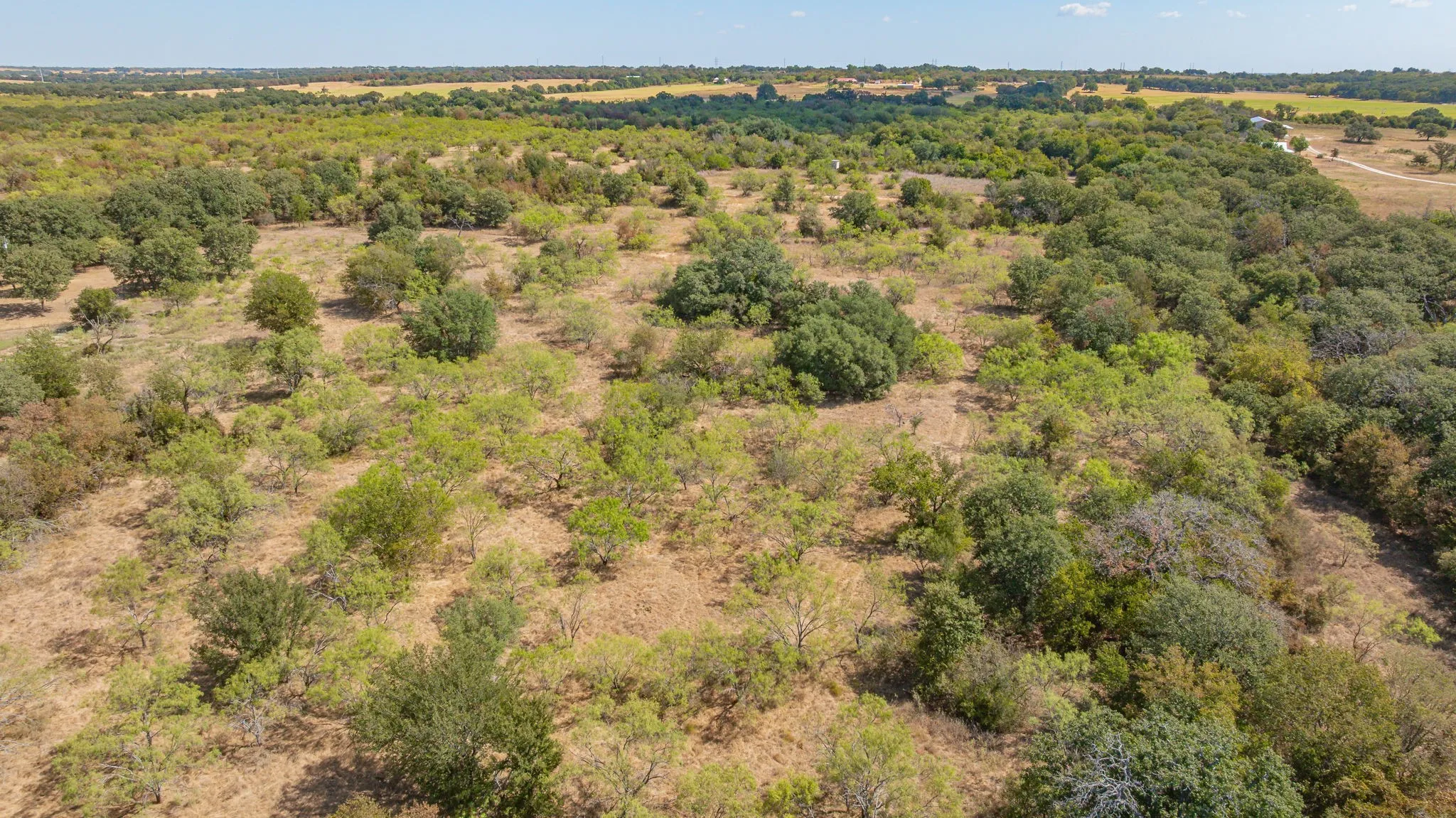 Unimproved Land For Sale in Erath County , 1880 County Road 371, Dublin, Texas 76446, 0, 0, Garage spaces, 0 Sqft, built in 0, mls#21377219, Real Estate Agent in Dublin, Homes For Sale in Erath county, Homes For Sale in Dublin, Realtor in Dublin Texas, Real Estate Brokerage Independent Realty Texas, Luminita Cordes Realtor