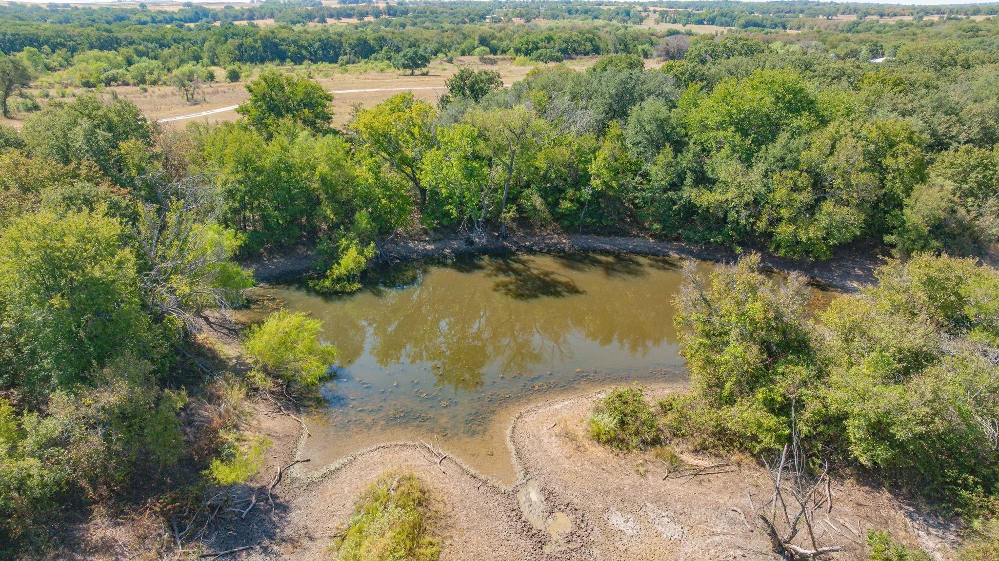 Unimproved Land For Sale in Erath County , 1880 County Road 371, Dublin, Texas 76446, 0, 0, Garage spaces, 0 Sqft, built in 0, mls#21377219, Real Estate Agent in Dublin, Homes For Sale in Erath county, Homes For Sale in Dublin, Realtor in Dublin Texas, Real Estate Brokerage Independent Realty Texas, Luminita Cordes Realtor