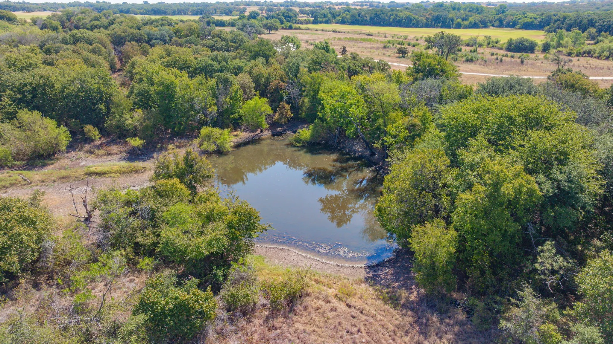 Unimproved Land For Sale in Erath County , 1880 County Road 371, Dublin, Texas 76446, 0, 0, Garage spaces, 0 Sqft, built in 0, mls#21377219, Real Estate Agent in Dublin, Homes For Sale in Erath county, Homes For Sale in Dublin, Realtor in Dublin Texas, Real Estate Brokerage Independent Realty Texas, Luminita Cordes Realtor