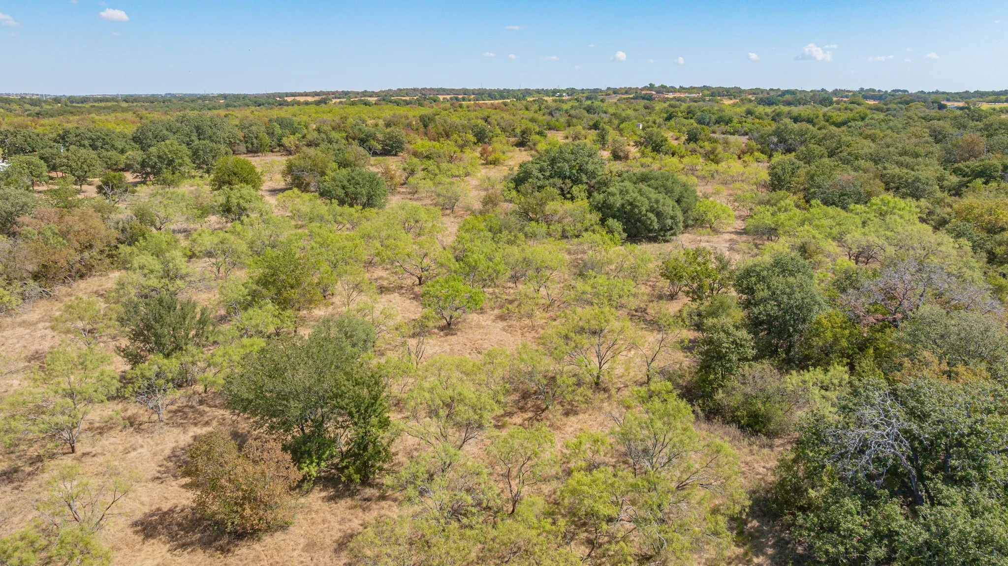 Unimproved Land For Sale in Erath County , 1880 County Road 371, Dublin, Texas 76446, 0, 0, Garage spaces, 0 Sqft, built in 0, mls#21377219, Real Estate Agent in Dublin, Homes For Sale in Erath county, Homes For Sale in Dublin, Realtor in Dublin Texas, Real Estate Brokerage Independent Realty Texas, Luminita Cordes Realtor