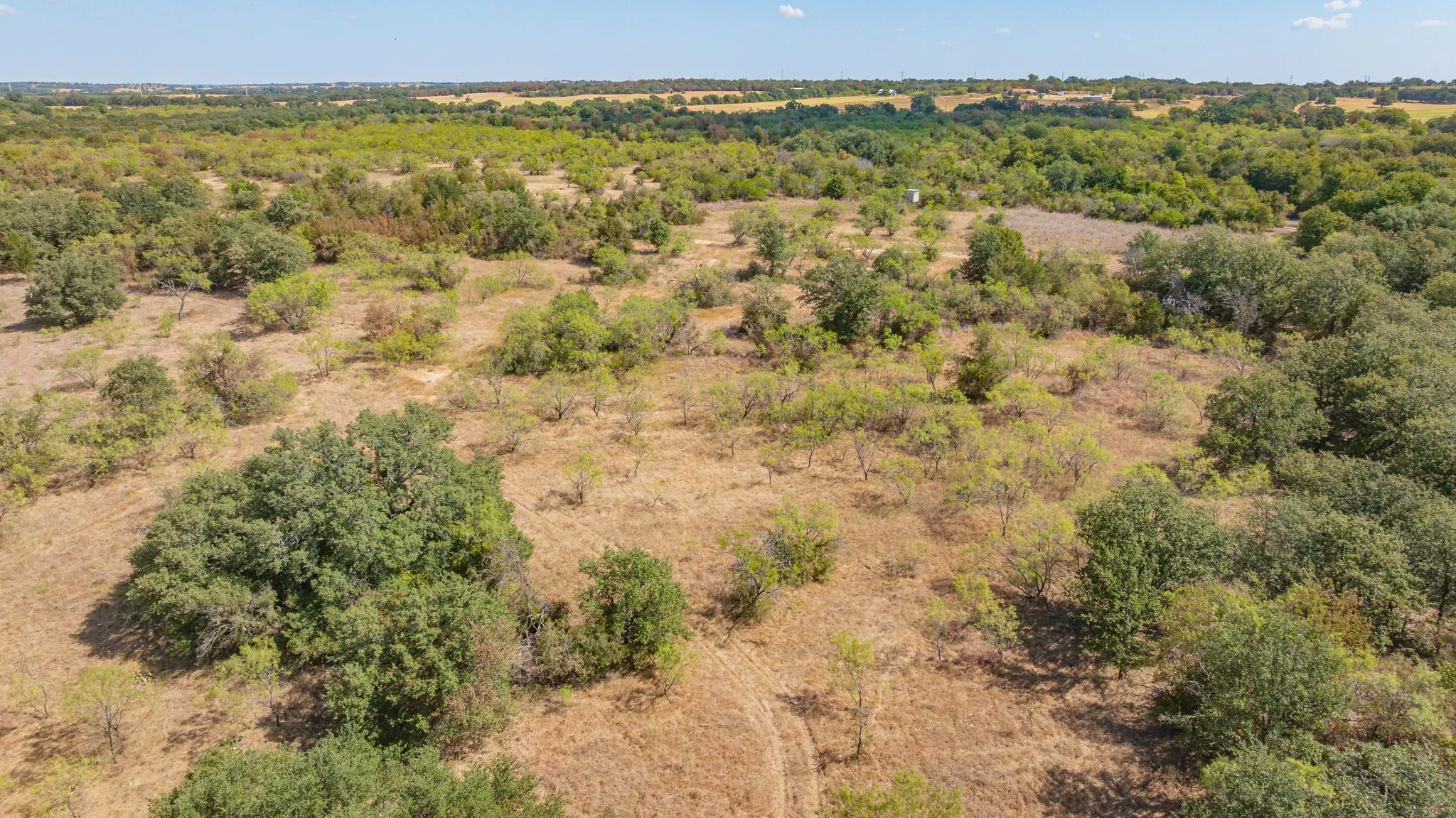 Unimproved Land For Sale in Erath County , 1880 County Road 371, Dublin, Texas 76446, 0, 0, Garage spaces, 0 Sqft, built in 0, mls#21377219, Real Estate Agent in Dublin, Homes For Sale in Erath county, Homes For Sale in Dublin, Realtor in Dublin Texas, Real Estate Brokerage Independent Realty Texas, Luminita Cordes Realtor