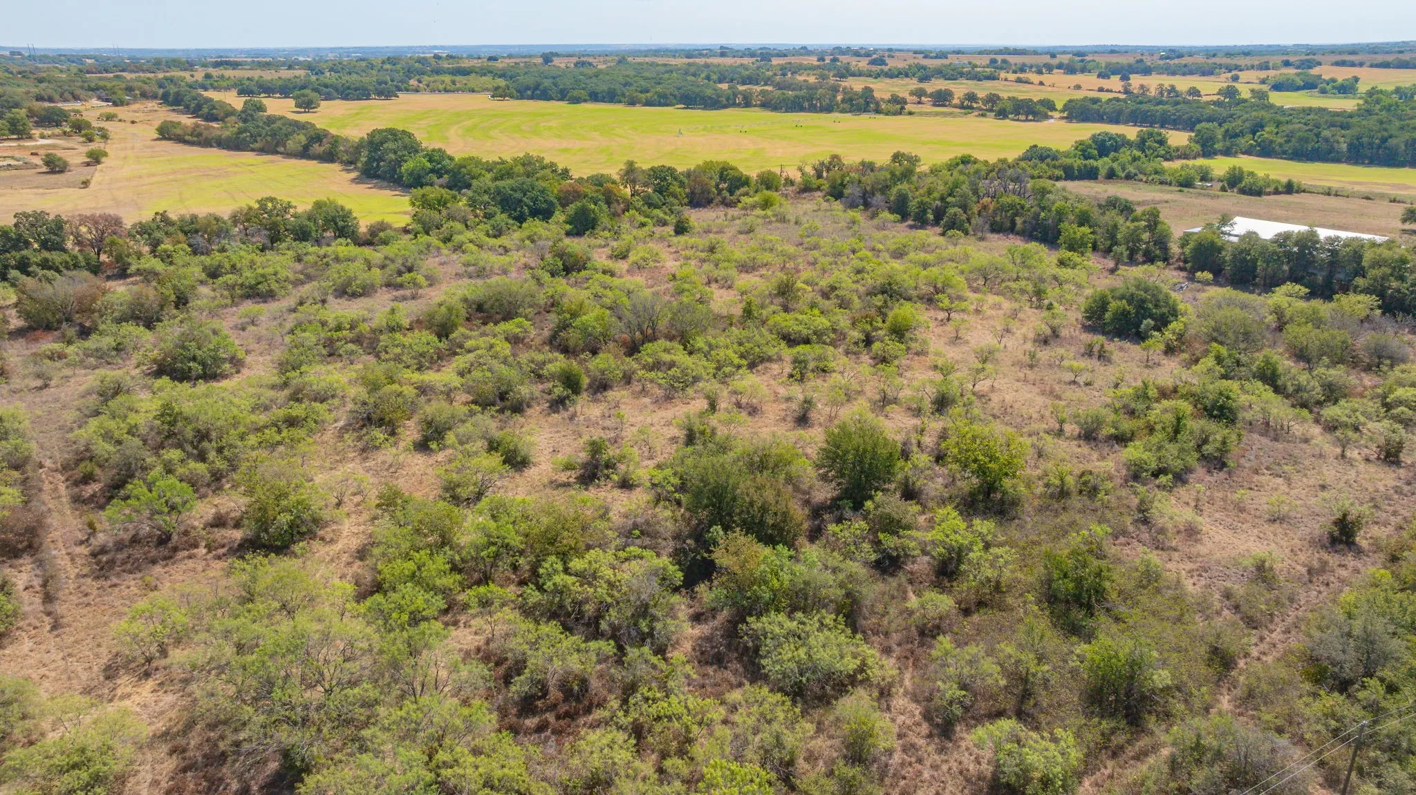 Unimproved Land For Sale in Erath County , 1880 County Road 371, Dublin, Texas 76446, 0, 0, Garage spaces, 0 Sqft, built in 0, mls#21377219, Real Estate Agent in Dublin, Homes For Sale in Erath county, Homes For Sale in Dublin, Realtor in Dublin Texas, Real Estate Brokerage Independent Realty Texas, Luminita Cordes Realtor