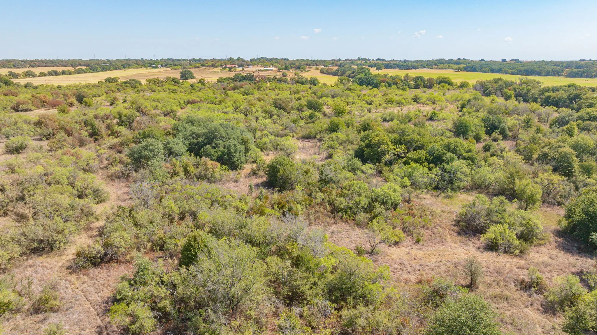 Unimproved Land For Sale in Erath County , 1880 County Road 371, Dublin, Texas 76446, 0, 0, Garage spaces, 0 Sqft, built in 0, mls#21377219, Real Estate Agent in Dublin, Homes For Sale in Erath county, Homes For Sale in Dublin, Realtor in Dublin Texas, Real Estate Brokerage Independent Realty Texas, Luminita Cordes Realtor