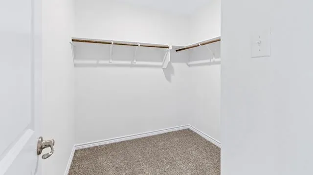 Walk in closet with carpet floors