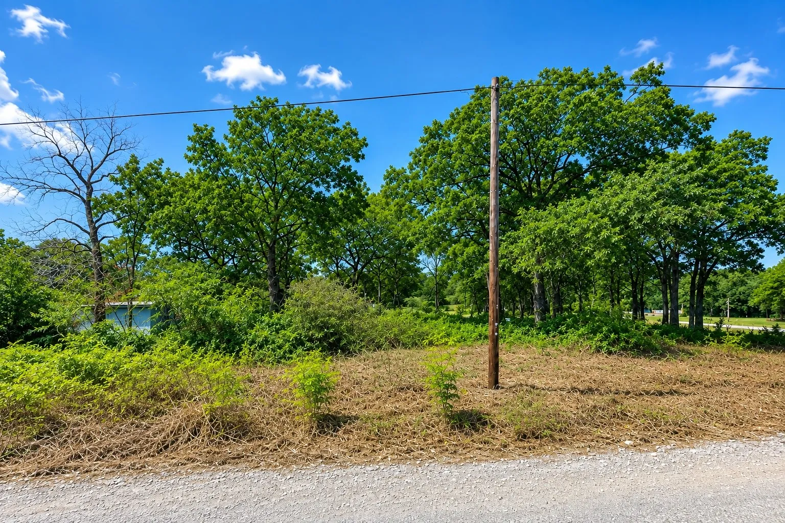 Dated street view