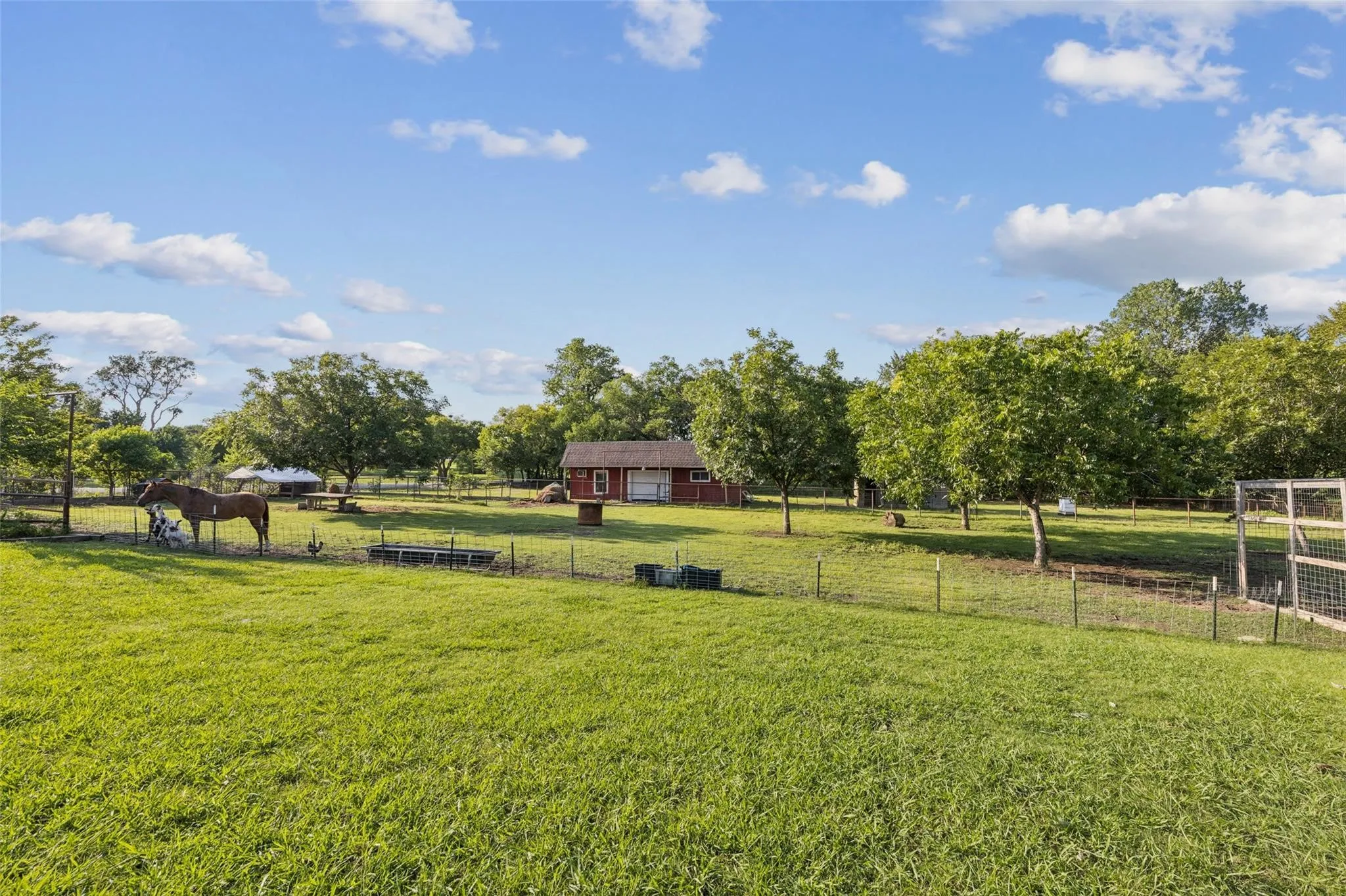 Single Family Residence For Sale in Collin County , 1 Glencove Circle, Lucas, Texas 75002, 3 Bedroom, 3 Bathroom, Garage spaces, 2,480 Sqft, built in 1976, mls#21377335, Real Estate Agent in Lucas, Homes For Sale in Collin county, Homes For Sale in Lucas, Realtor in Lucas Texas, Real Estate Brokerage Independent Realty Texas, Luminita Cordes Realtor