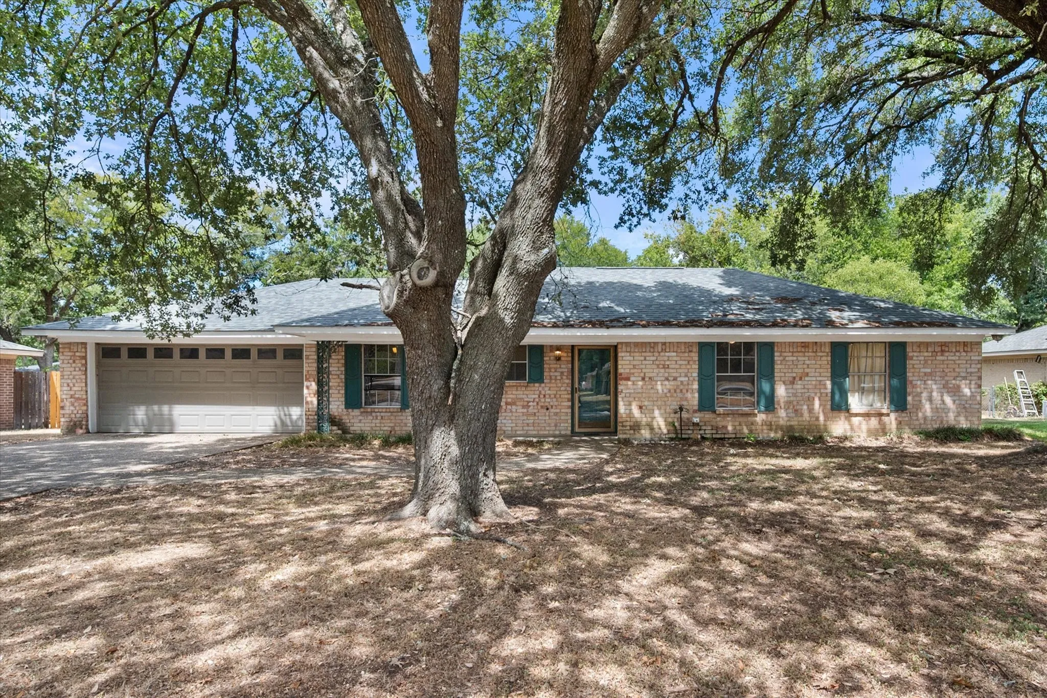 Front exterior view highlights the attached garage, mature shade tree, established landscaping, and traditional brick design of this Corsicana home.