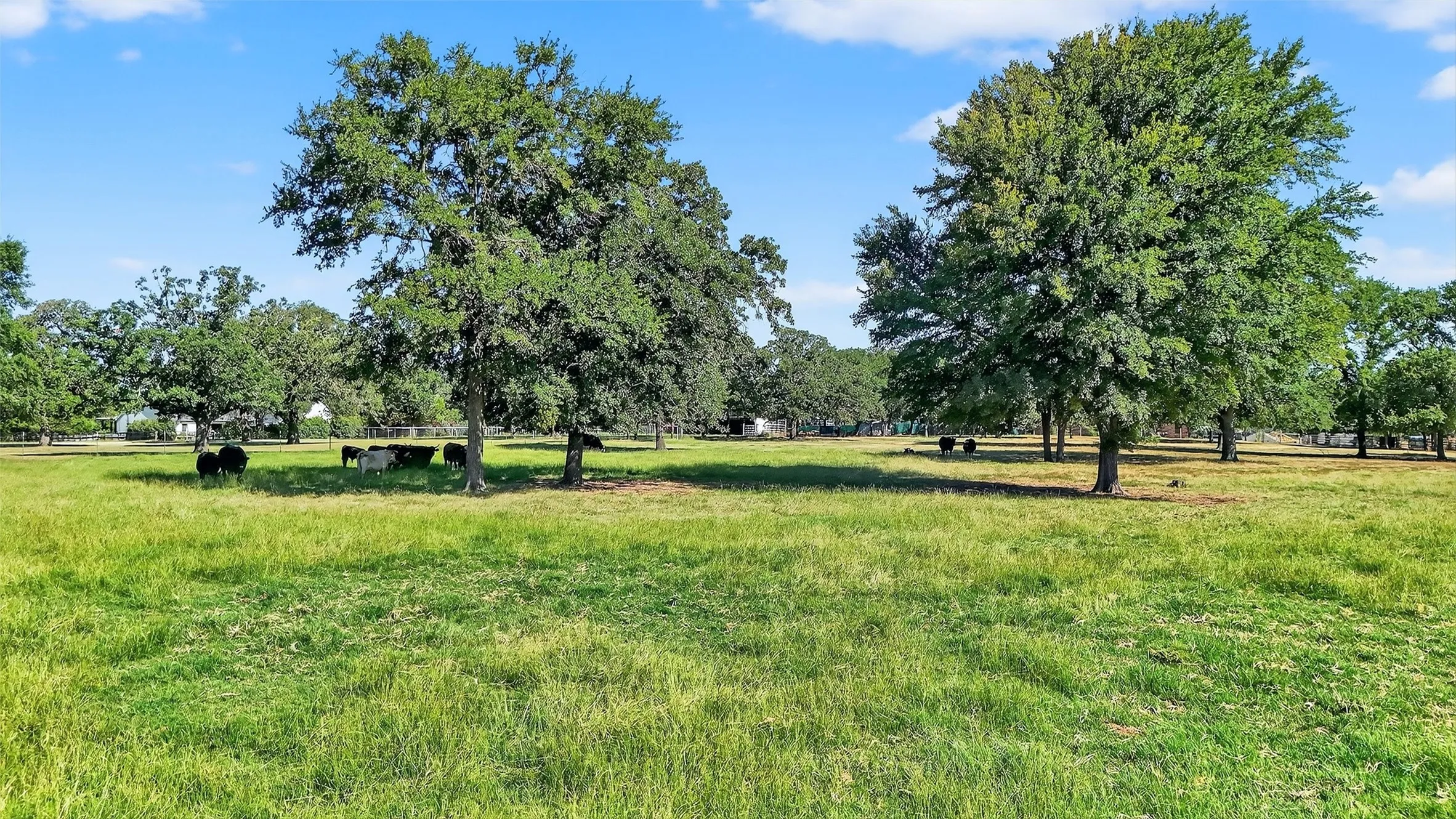 Improved Land For Sale in Denton County , 616 Spring Hill Road, Aubrey, Texas 76227, 0, 0, Garage spaces, 0 Sqft, built in 1985, mls#21376075, Real Estate Agent in Aubrey, Homes For Sale in Denton county, Homes For Sale in Aubrey, Realtor in Aubrey Texas, Real Estate Brokerage Independent Realty Texas, Luminita Cordes Realtor