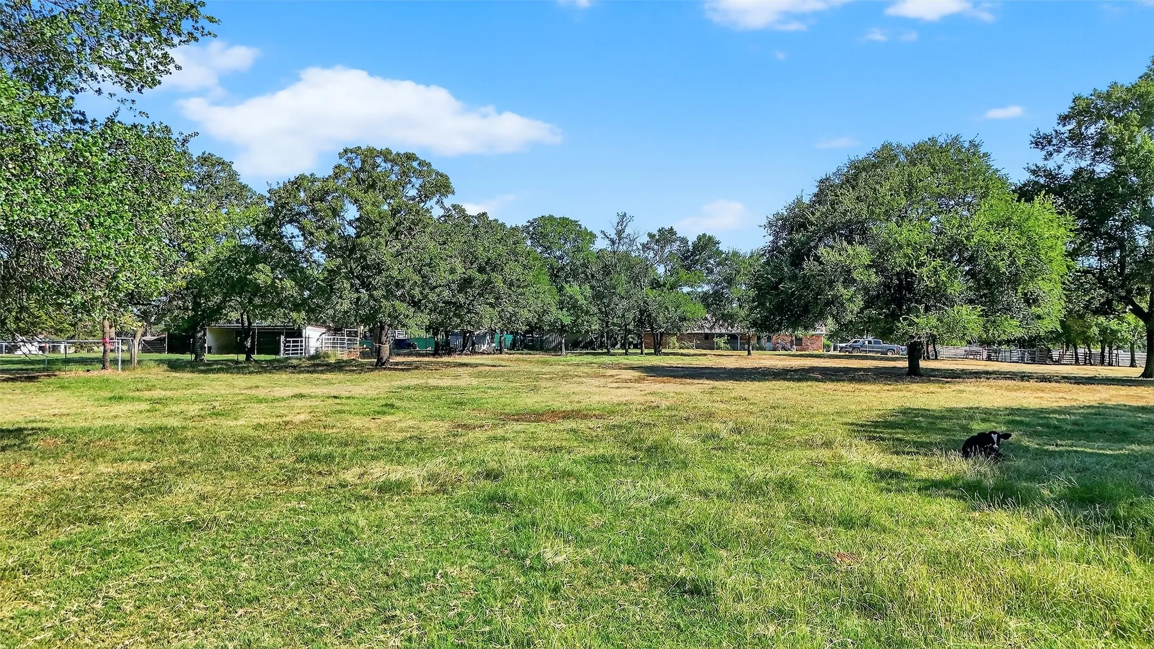 Expansive grassy field with mature trees