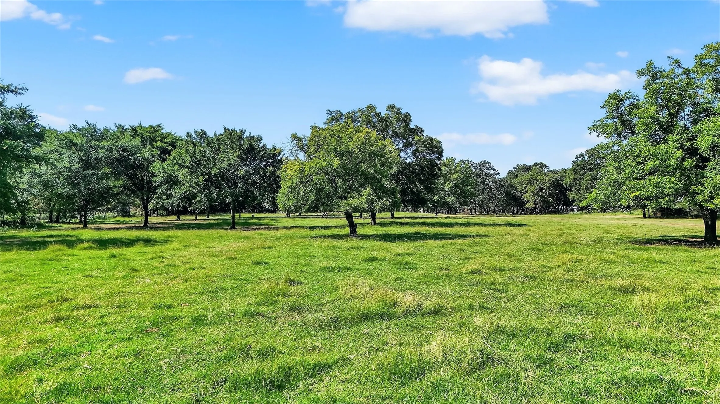 Improved Land For Sale in Denton County , 616 Spring Hill Road, Aubrey, Texas 76227, 0, 0, Garage spaces, 0 Sqft, built in 1985, mls#21376075, Real Estate Agent in Aubrey, Homes For Sale in Denton county, Homes For Sale in Aubrey, Realtor in Aubrey Texas, Real Estate Brokerage Independent Realty Texas, Luminita Cordes Realtor