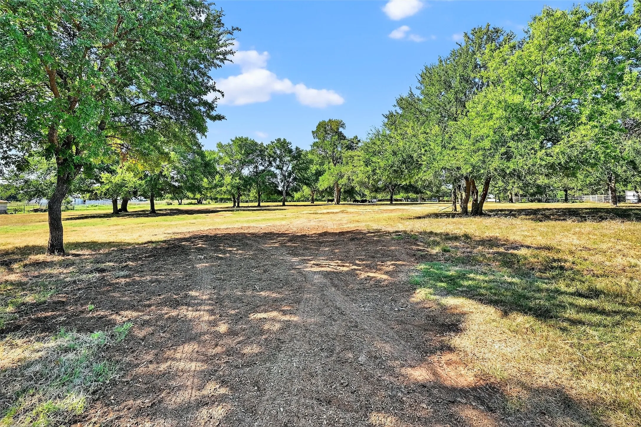 Expansive lot featuring mature trees and a clear, sunny sky