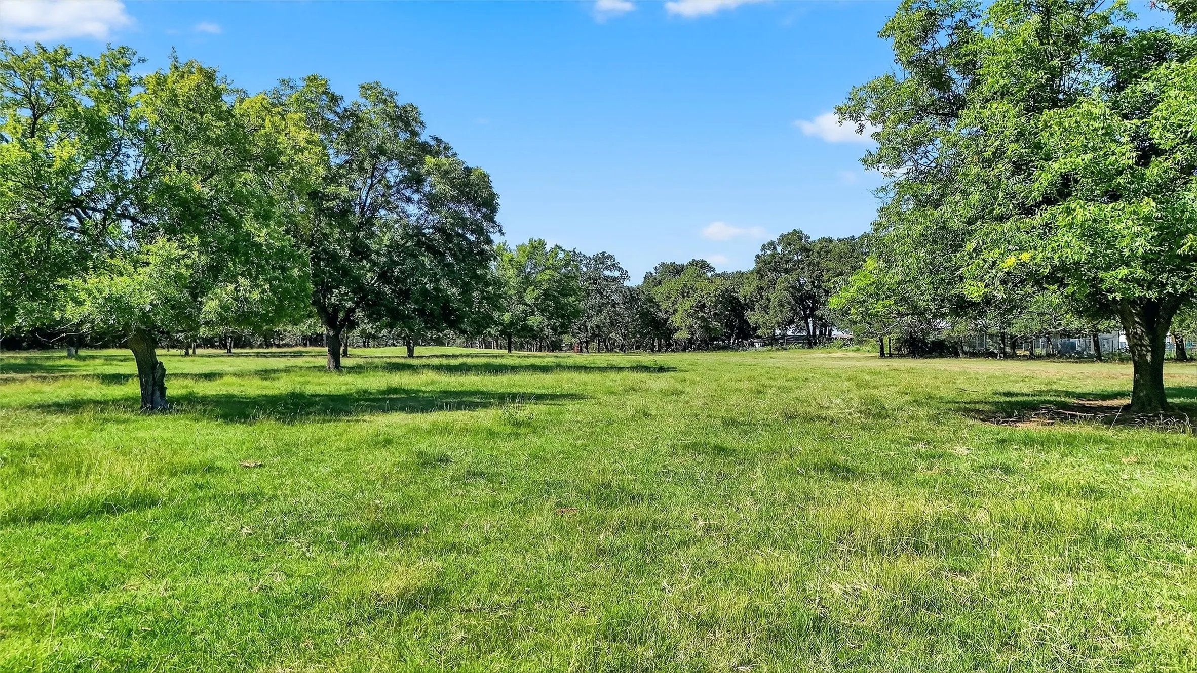 Expansive green space featuring mature trees and a clear blue sky
