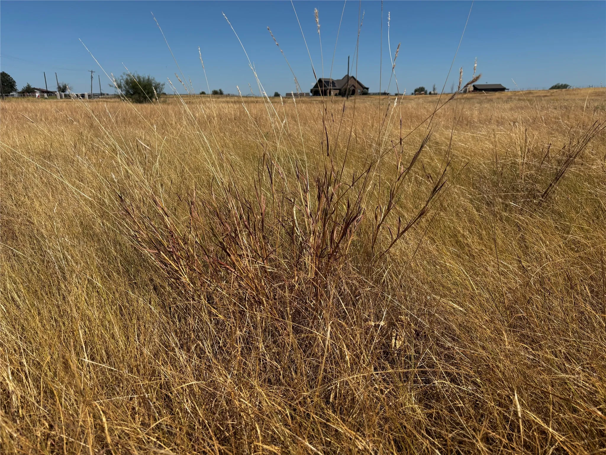 Unimproved Land For Sale in Denton County , 000 Melton Road, Sanger, Texas 76266, 0, 0, Garage spaces, 0 Sqft, built in 0, mls#21377206, Real Estate Agent in Sanger, Homes For Sale in Denton county, Homes For Sale in Sanger, Realtor in Sanger Texas, Real Estate Brokerage Independent Realty Texas, Luminita Cordes Realtor