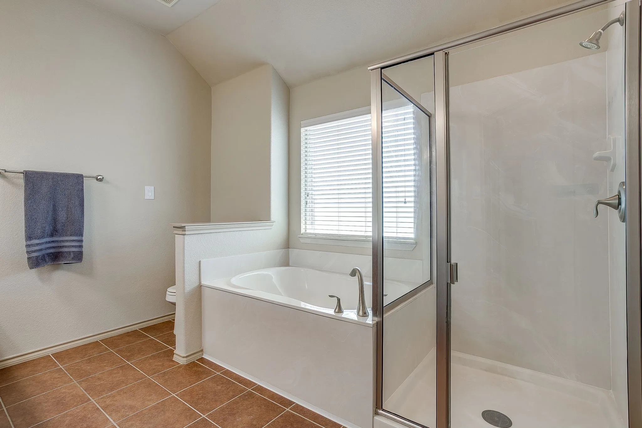 Separate bathtub and glass shower.