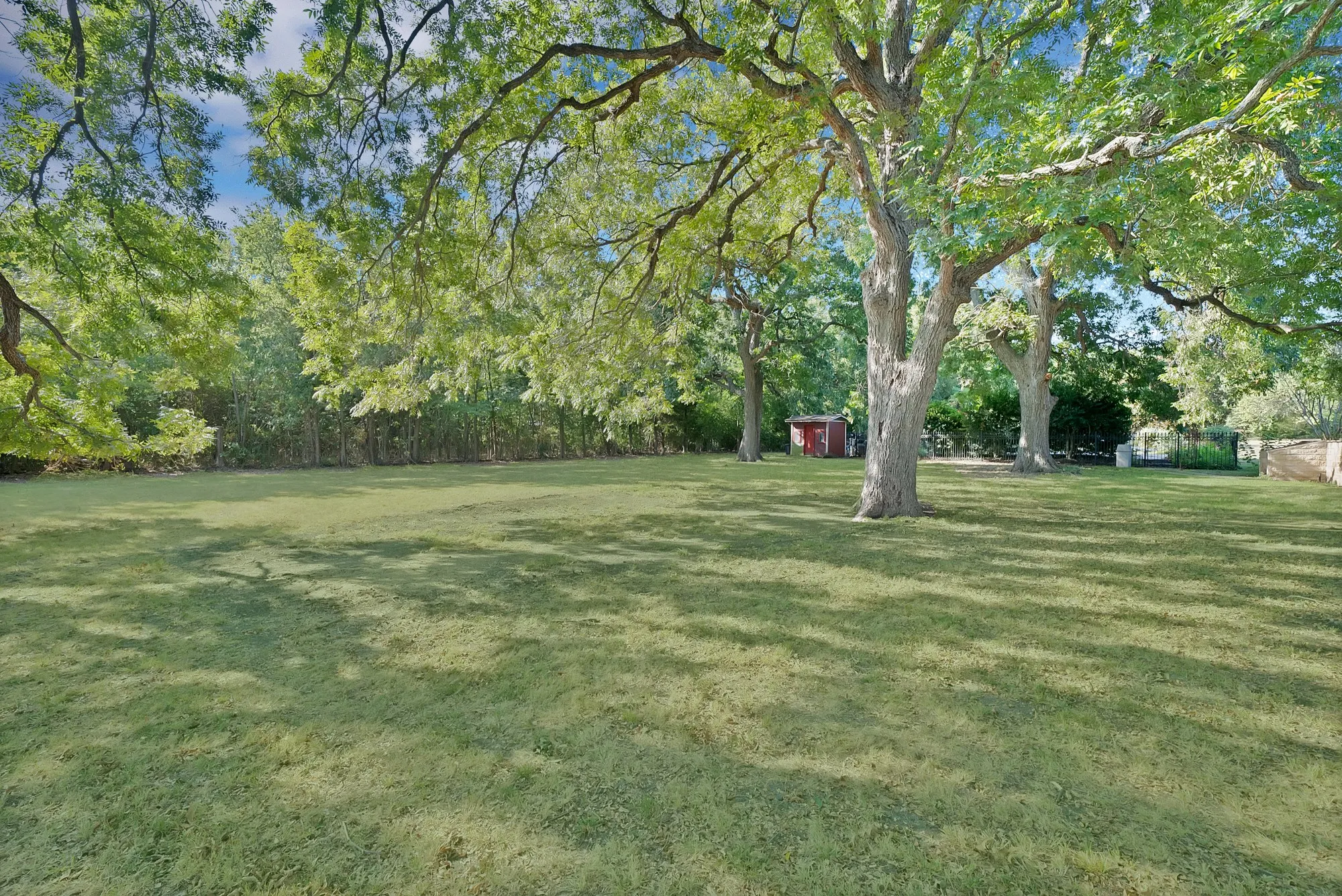 Expansive lawn area with mature trees and a red shed structure