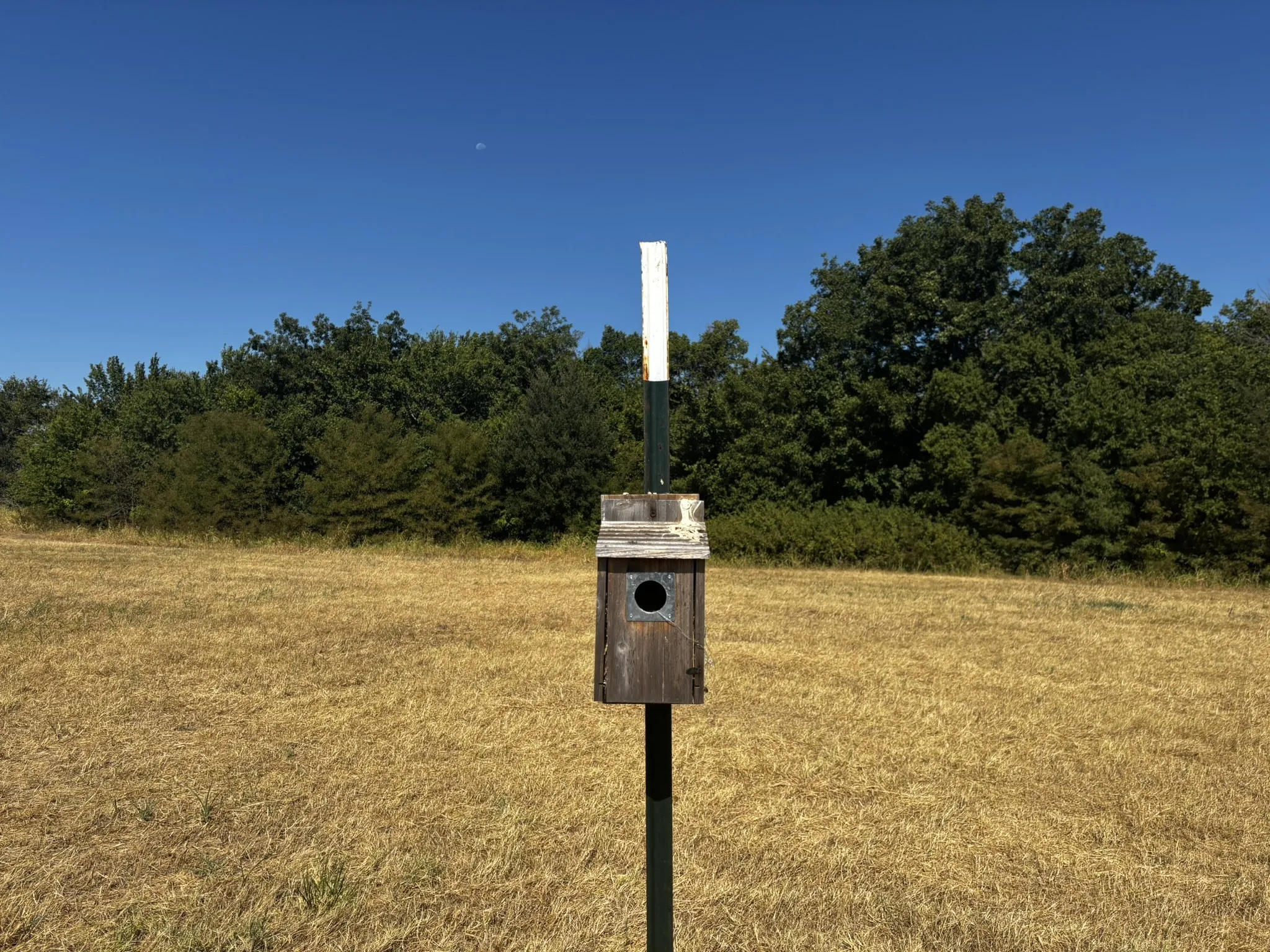 Unimproved Land For Sale in Denton County , 0 Sam Bass Road, Sanger, Texas 76266, 0, 0, Garage spaces, 0 Sqft, built in 0, mls#21376580, Real Estate Agent in Sanger, Homes For Sale in Denton county, Homes For Sale in Sanger, Realtor in Sanger Texas, Real Estate Brokerage Independent Realty Texas, Luminita Cordes Realtor