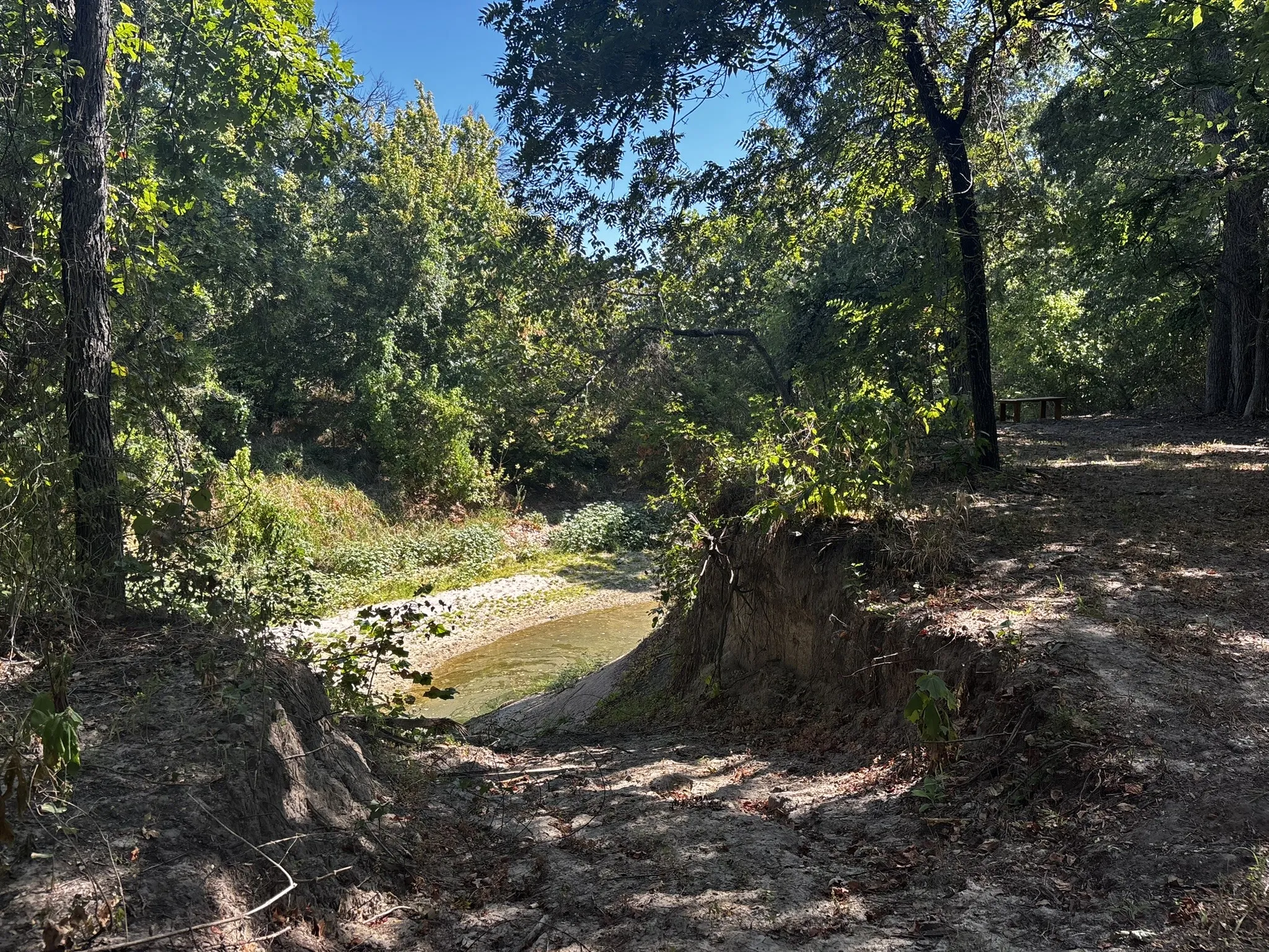 Unimproved Land For Sale in Denton County , 0 Sam Bass Road, Sanger, Texas 76266, 0, 0, Garage spaces, 0 Sqft, built in 0, mls#21376580, Real Estate Agent in Sanger, Homes For Sale in Denton county, Homes For Sale in Sanger, Realtor in Sanger Texas, Real Estate Brokerage Independent Realty Texas, Luminita Cordes Realtor
