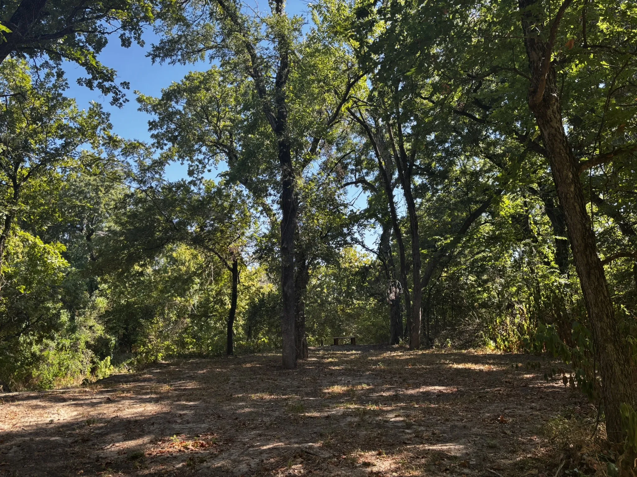 Unimproved Land For Sale in Denton County , 0 Sam Bass Road, Sanger, Texas 76266, 0, 0, Garage spaces, 0 Sqft, built in 0, mls#21376580, Real Estate Agent in Sanger, Homes For Sale in Denton county, Homes For Sale in Sanger, Realtor in Sanger Texas, Real Estate Brokerage Independent Realty Texas, Luminita Cordes Realtor