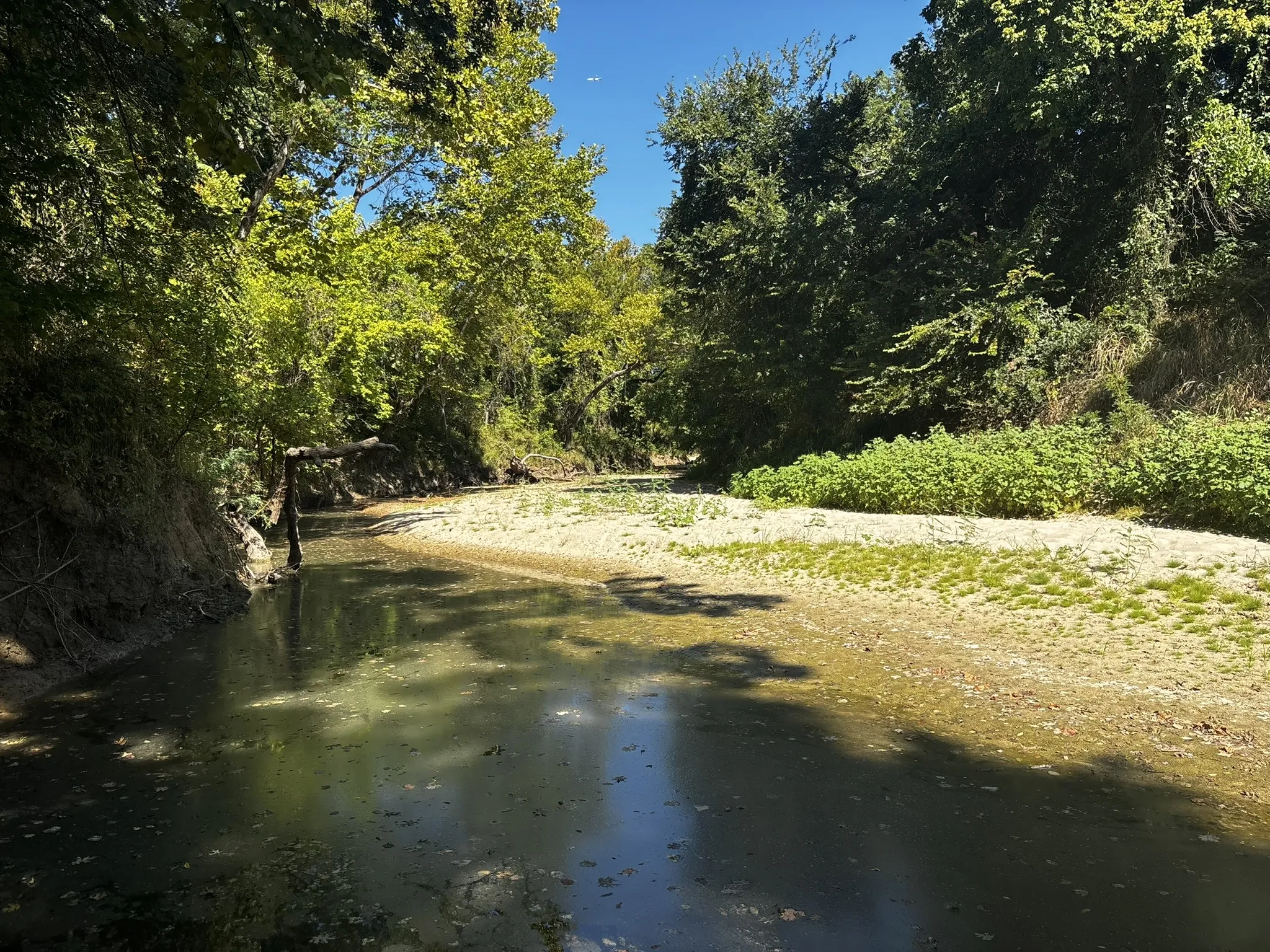 Unimproved Land For Sale in Denton County , 0 Sam Bass Road, Sanger, Texas 76266, 0, 0, Garage spaces, 0 Sqft, built in 0, mls#21376580, Real Estate Agent in Sanger, Homes For Sale in Denton county, Homes For Sale in Sanger, Realtor in Sanger Texas, Real Estate Brokerage Independent Realty Texas, Luminita Cordes Realtor