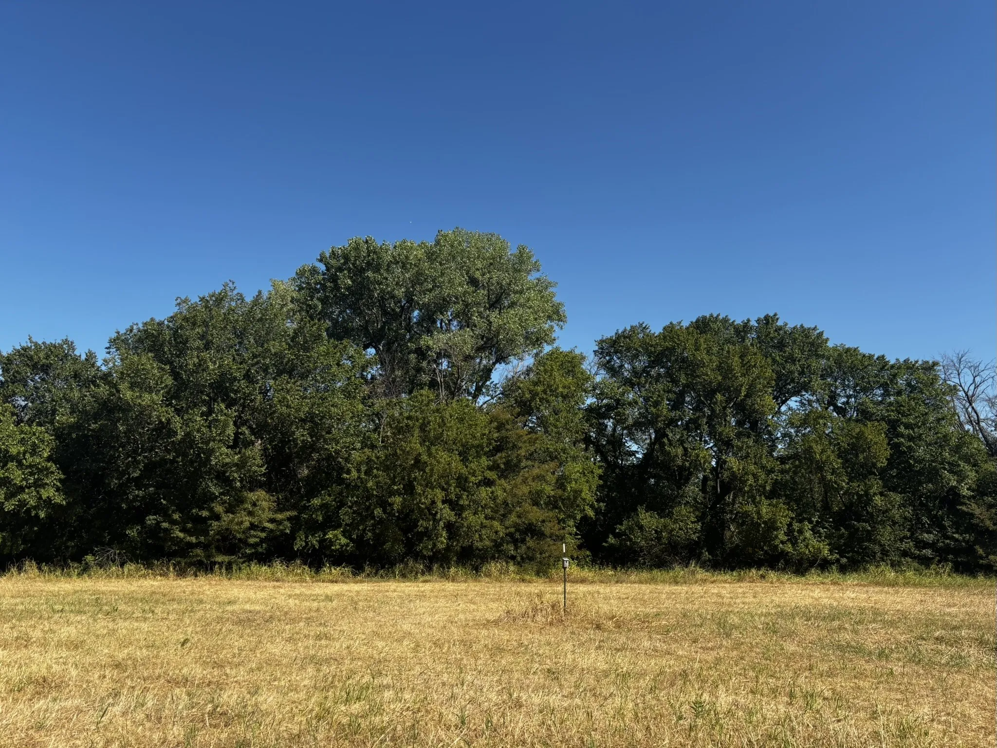 Unimproved Land For Sale in Denton County , 0 Sam Bass Road, Sanger, Texas 76266, 0, 0, Garage spaces, 0 Sqft, built in 0, mls#21376580, Real Estate Agent in Sanger, Homes For Sale in Denton county, Homes For Sale in Sanger, Realtor in Sanger Texas, Real Estate Brokerage Independent Realty Texas, Luminita Cordes Realtor