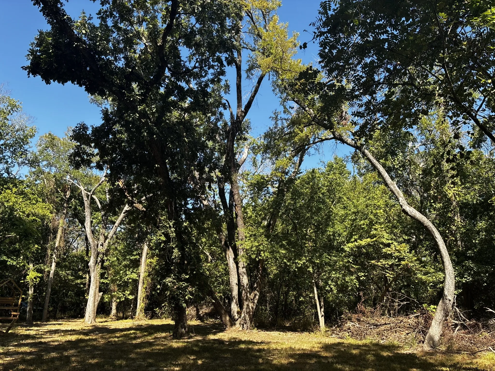 Unimproved Land For Sale in Denton County , 0 Sam Bass Road, Sanger, Texas 76266, 0, 0, Garage spaces, 0 Sqft, built in 0, mls#21376580, Real Estate Agent in Sanger, Homes For Sale in Denton county, Homes For Sale in Sanger, Realtor in Sanger Texas, Real Estate Brokerage Independent Realty Texas, Luminita Cordes Realtor