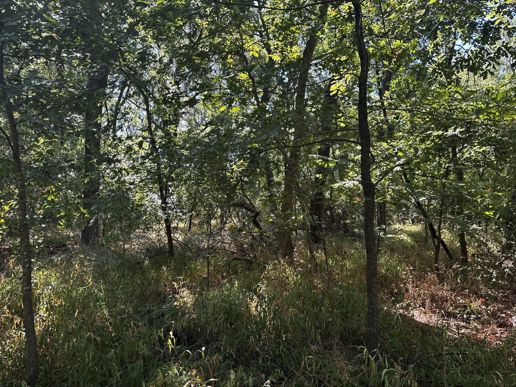 Unimproved Land For Sale in Denton County , 0 Sam Bass Road, Sanger, Texas 76266, 0, 0, Garage spaces, 0 Sqft, built in 0, mls#21376580, Real Estate Agent in Sanger, Homes For Sale in Denton county, Homes For Sale in Sanger, Realtor in Sanger Texas, Real Estate Brokerage Independent Realty Texas, Luminita Cordes Realtor