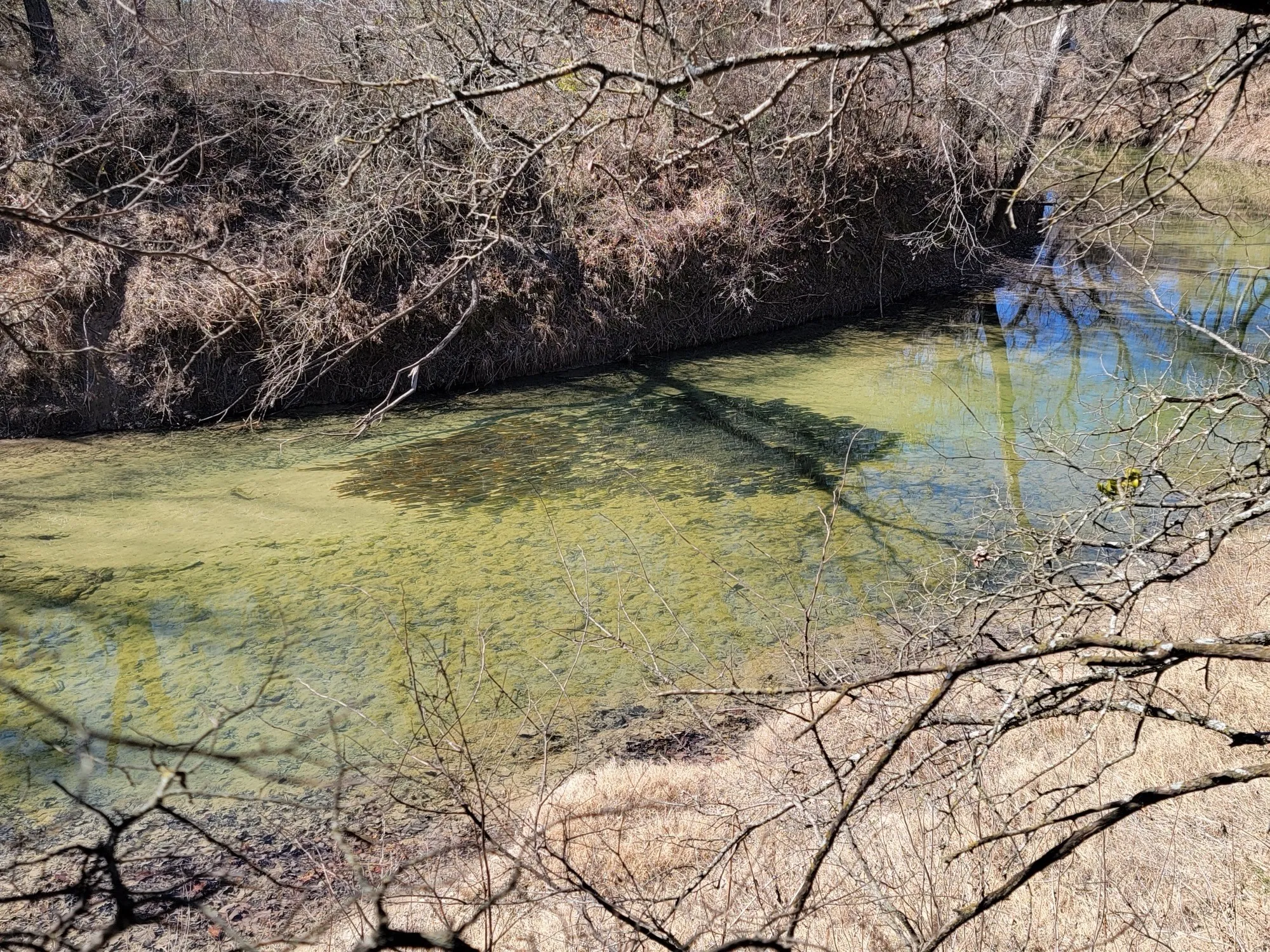 Unimproved Land For Sale in Denton County , 0 Sam Bass Road, Sanger, Texas 76266, 0, 0, Garage spaces, 0 Sqft, built in 0, mls#21376580, Real Estate Agent in Sanger, Homes For Sale in Denton county, Homes For Sale in Sanger, Realtor in Sanger Texas, Real Estate Brokerage Independent Realty Texas, Luminita Cordes Realtor