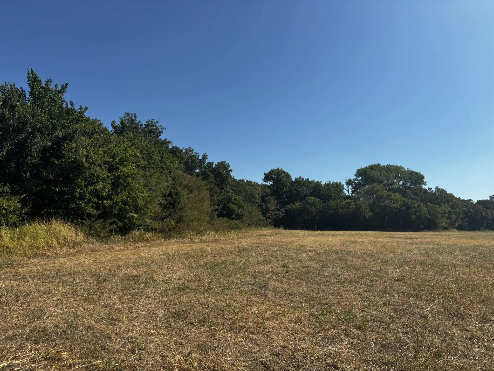 Unimproved Land For Sale in Denton County , 0 Sam Bass Road, Sanger, Texas 76266, 0, 0, Garage spaces, 0 Sqft, built in 0, mls#21376580, Real Estate Agent in Sanger, Homes For Sale in Denton county, Homes For Sale in Sanger, Realtor in Sanger Texas, Real Estate Brokerage Independent Realty Texas, Luminita Cordes Realtor