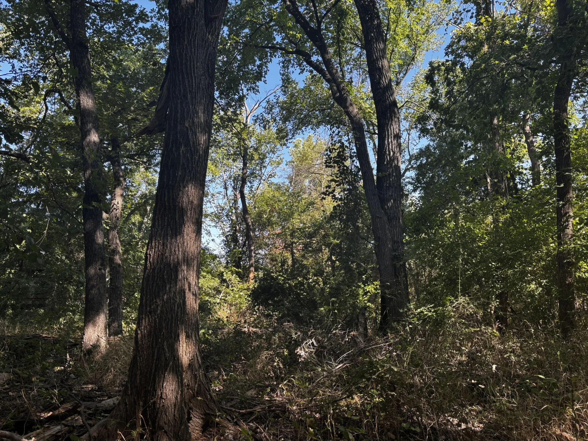 Unimproved Land For Sale in Denton County , 0 Sam Bass Road, Sanger, Texas 76266, 0, 0, Garage spaces, 0 Sqft, built in 0, mls#21376580, Real Estate Agent in Sanger, Homes For Sale in Denton county, Homes For Sale in Sanger, Realtor in Sanger Texas, Real Estate Brokerage Independent Realty Texas, Luminita Cordes Realtor