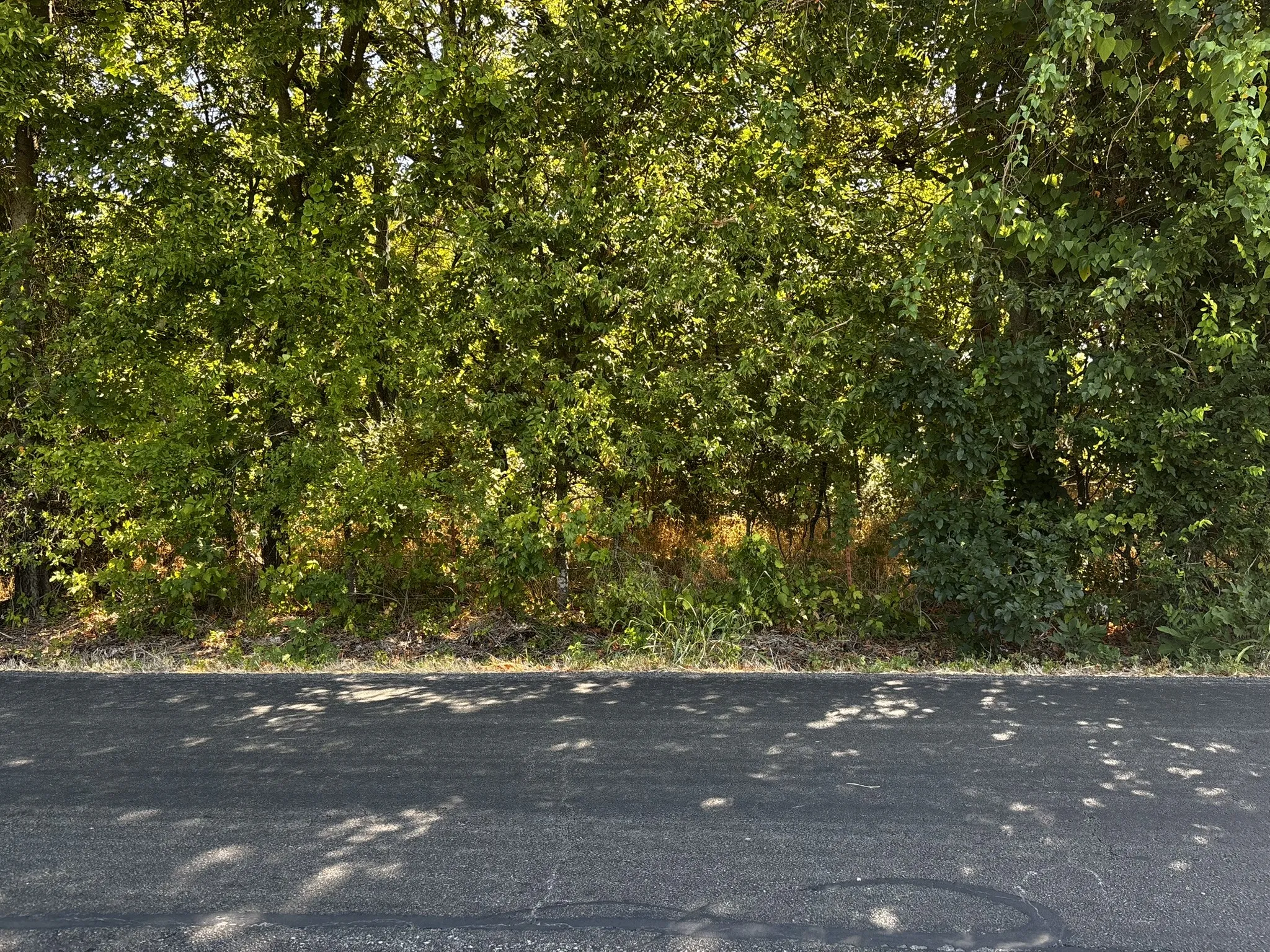 Unimproved Land For Sale in Denton County , 0 Sam Bass Road, Sanger, Texas 76266, 0, 0, Garage spaces, 0 Sqft, built in 0, mls#21376580, Real Estate Agent in Sanger, Homes For Sale in Denton county, Homes For Sale in Sanger, Realtor in Sanger Texas, Real Estate Brokerage Independent Realty Texas, Luminita Cordes Realtor