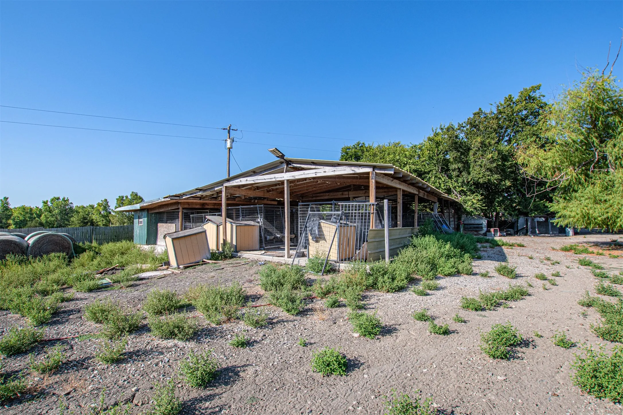 Dog Kennels