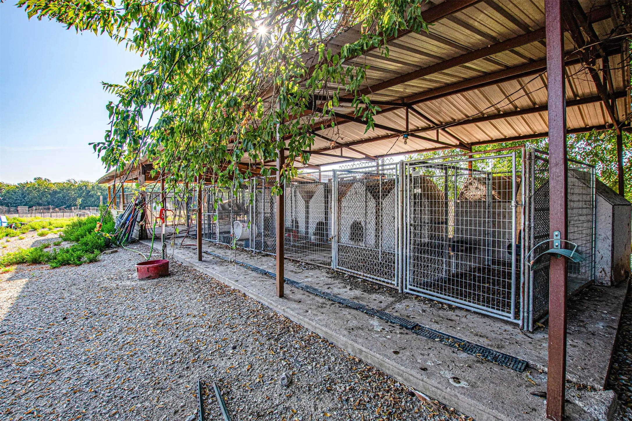 Dog Kennels
