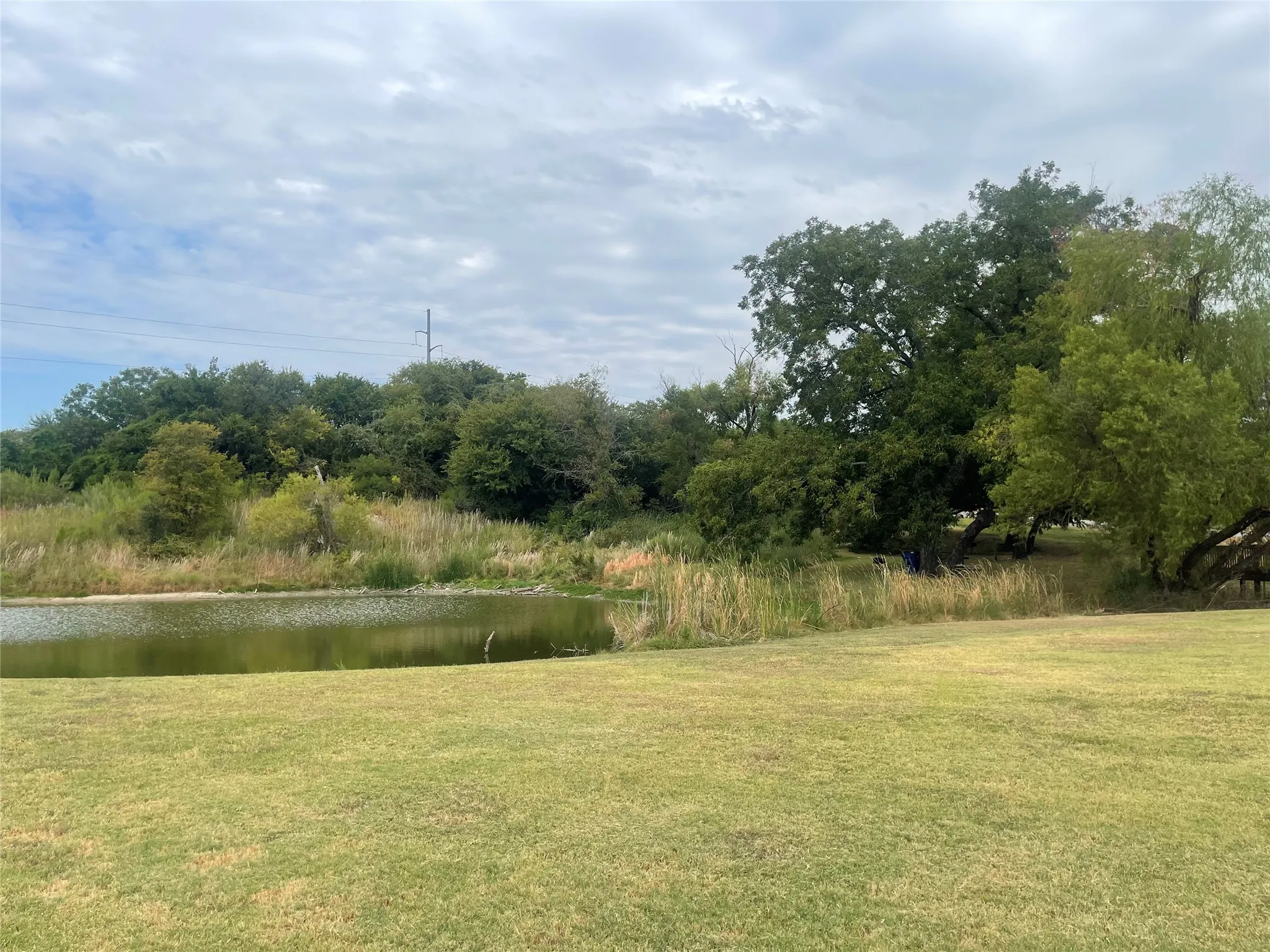 Community Park