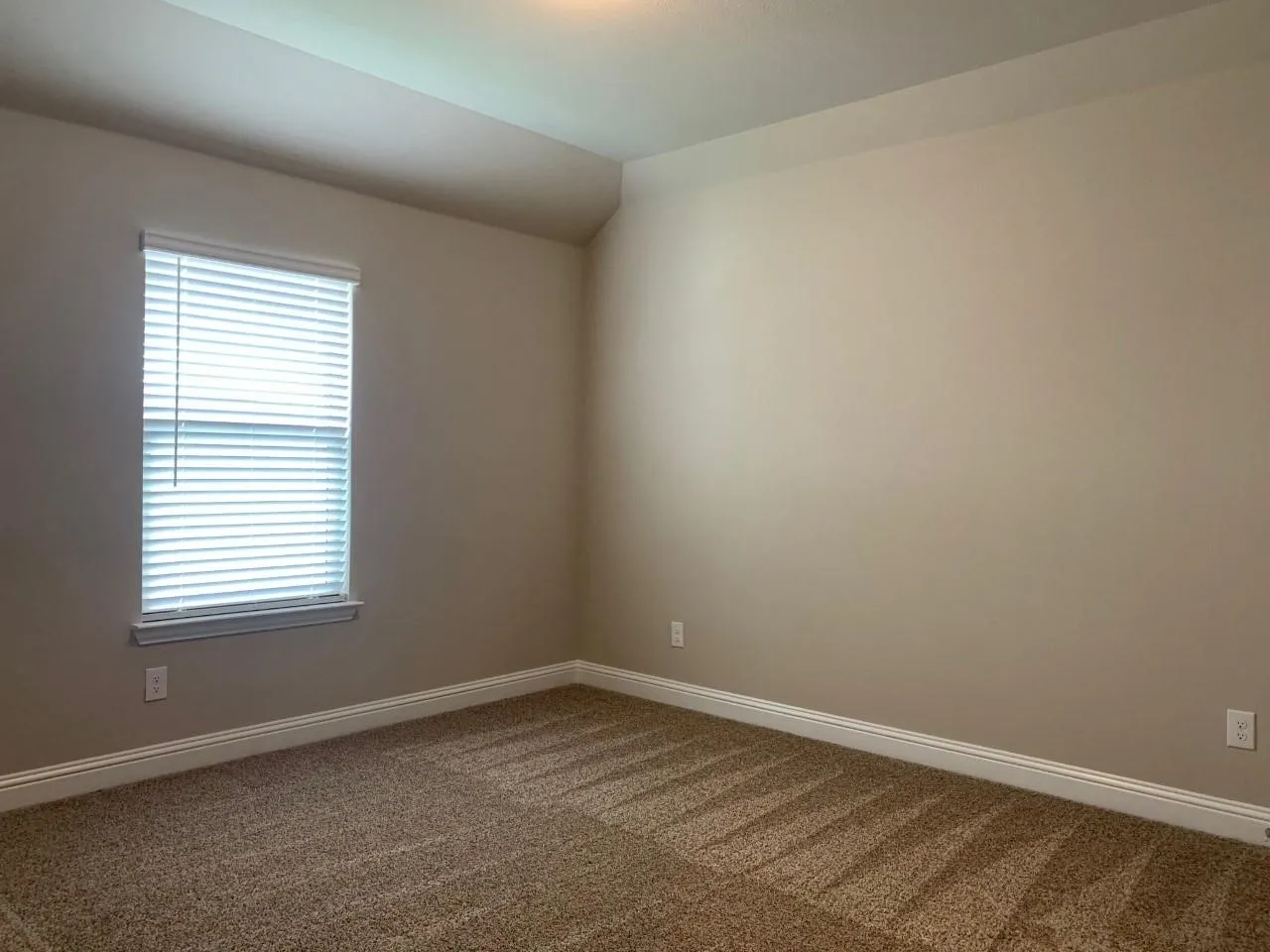 Tray ceiling, neutral paint, window with blinds, brown carpet, and white baseboards