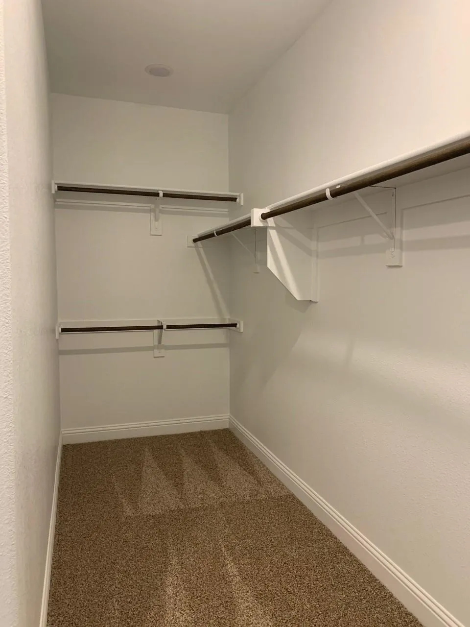 Walk-in closet featuring built-in shelving, hanging rods, and carpet flooring