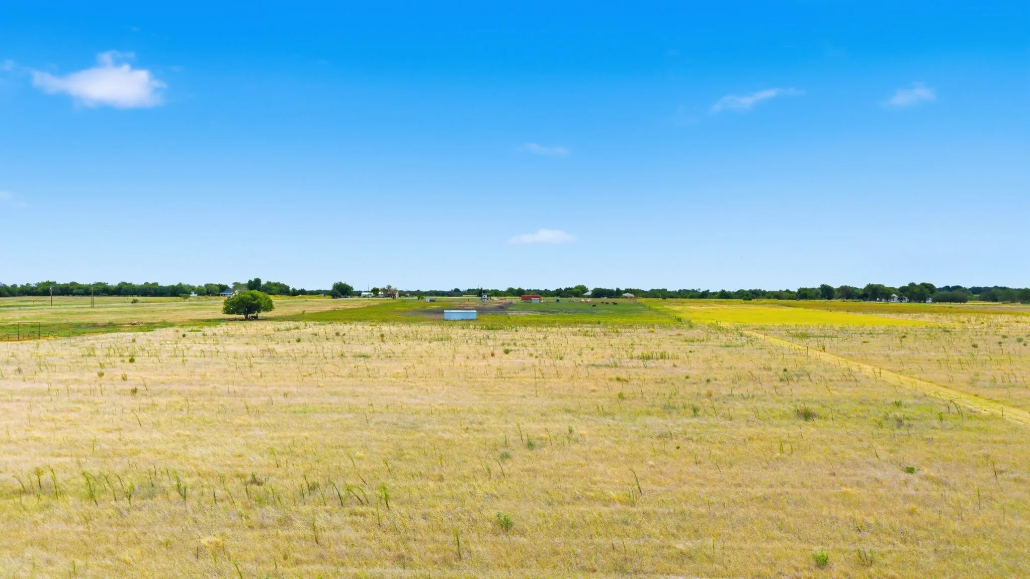 Unimproved Land For Sale in Hunt County , Lot 5 County Road 4505, Commerce, Texas 75428, 0, 0, Garage spaces, 0 Sqft, built in 0, mls#21377461, Real Estate Agent in Commerce, Homes For Sale in Hunt county, Homes For Sale in Commerce, Realtor in Commerce Texas, Real Estate Brokerage Independent Realty Texas, Luminita Cordes Realtor