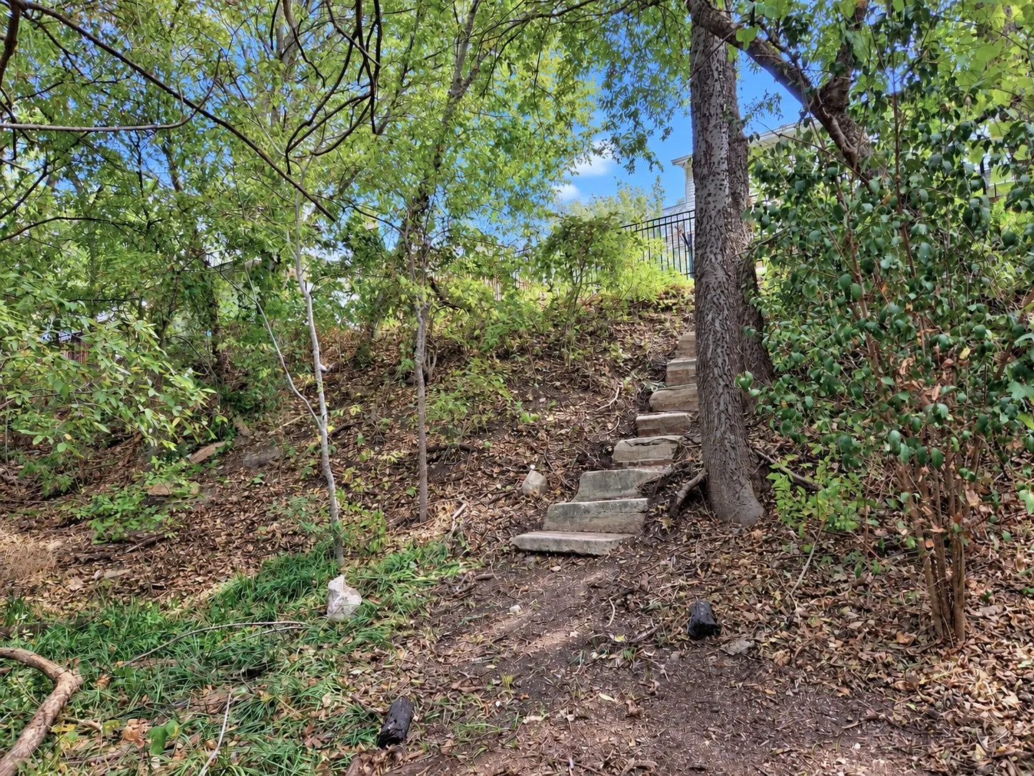 Steps down to the creek