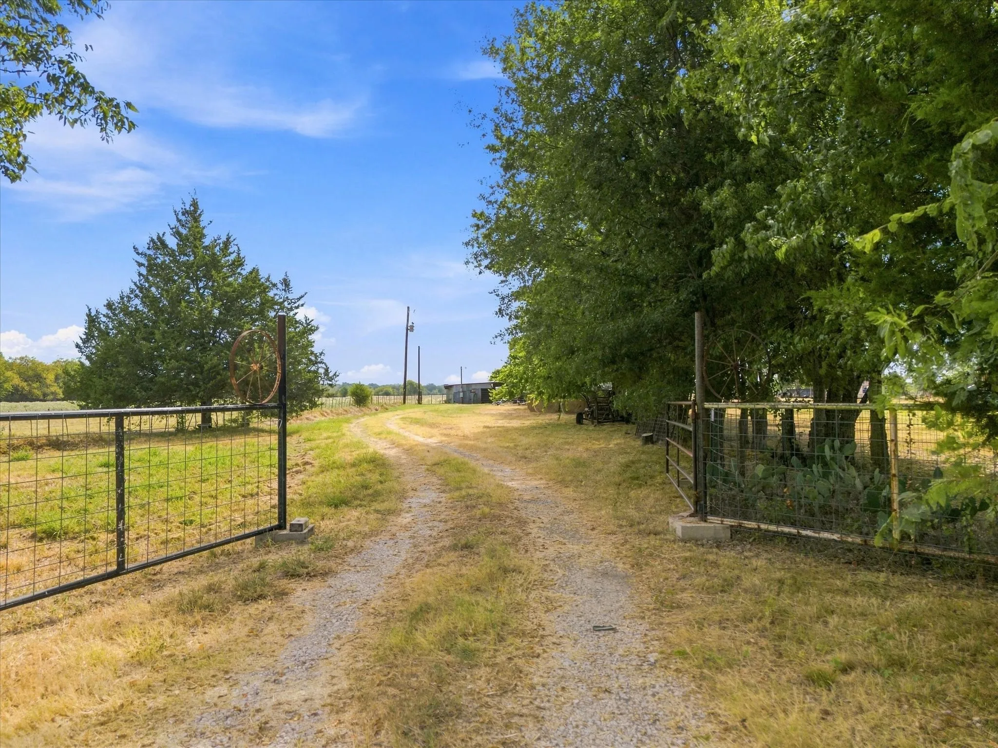 Unimproved Land For Sale in Delta County , 431 Fm 71, Commerce, Texas 75428, 0, 0, Garage spaces, 0 Sqft, built in 0, mls#21377733, Real Estate Agent in Commerce, Homes For Sale in Delta county, Homes For Sale in Commerce, Realtor in Commerce Texas, Real Estate Brokerage Independent Realty Texas, Luminita Cordes Realtor