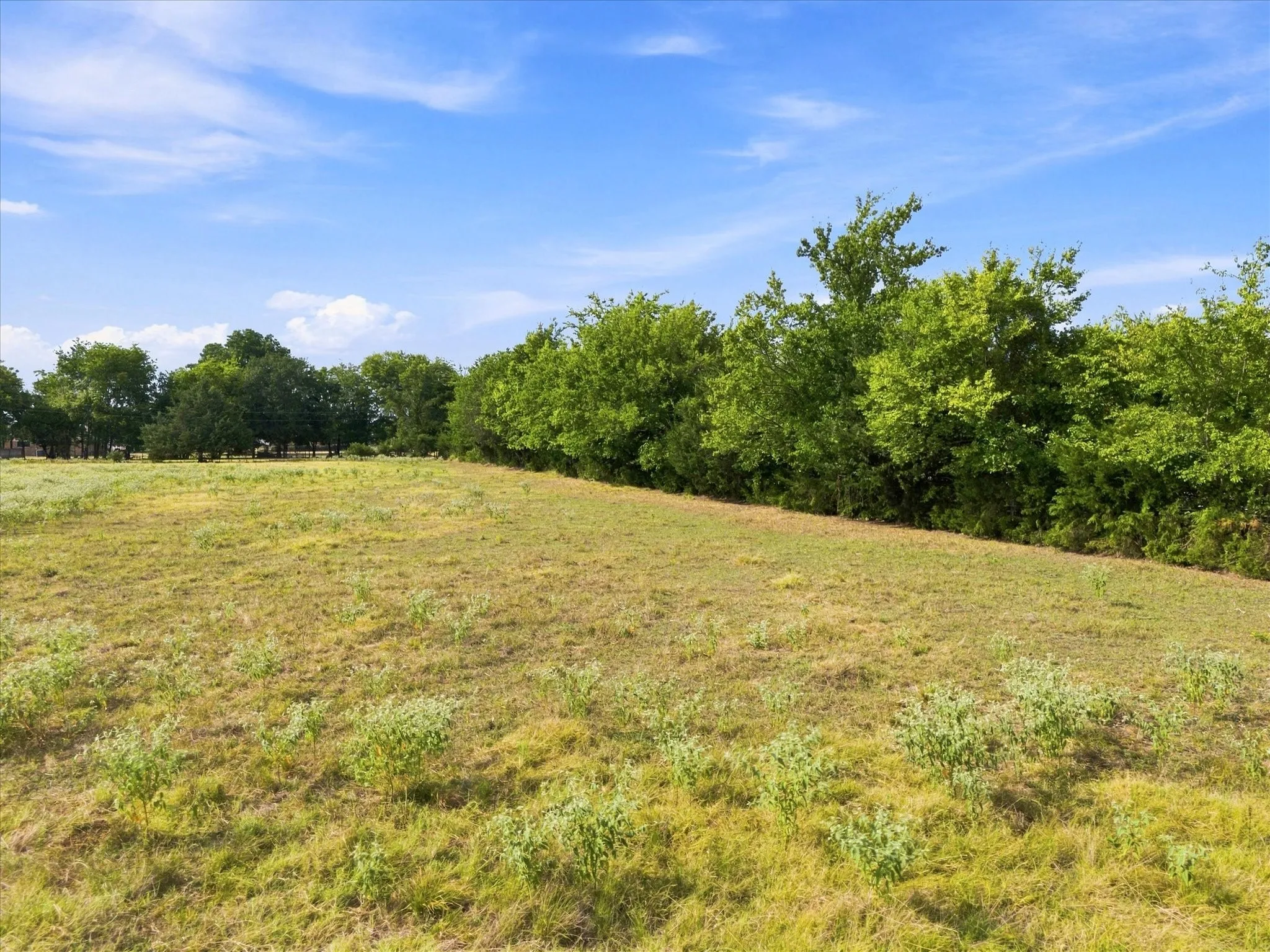 Unimproved Land For Sale in Delta County , 431 Fm 71, Commerce, Texas 75428, 0, 0, Garage spaces, 0 Sqft, built in 0, mls#21377733, Real Estate Agent in Commerce, Homes For Sale in Delta county, Homes For Sale in Commerce, Realtor in Commerce Texas, Real Estate Brokerage Independent Realty Texas, Luminita Cordes Realtor