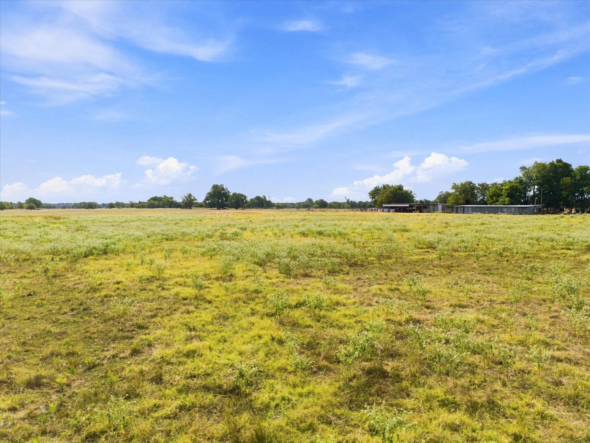 Unimproved Land For Sale in Delta County , 431 Fm 71, Commerce, Texas 75428, 0, 0, Garage spaces, 0 Sqft, built in 0, mls#21377733, Real Estate Agent in Commerce, Homes For Sale in Delta county, Homes For Sale in Commerce, Realtor in Commerce Texas, Real Estate Brokerage Independent Realty Texas, Luminita Cordes Realtor