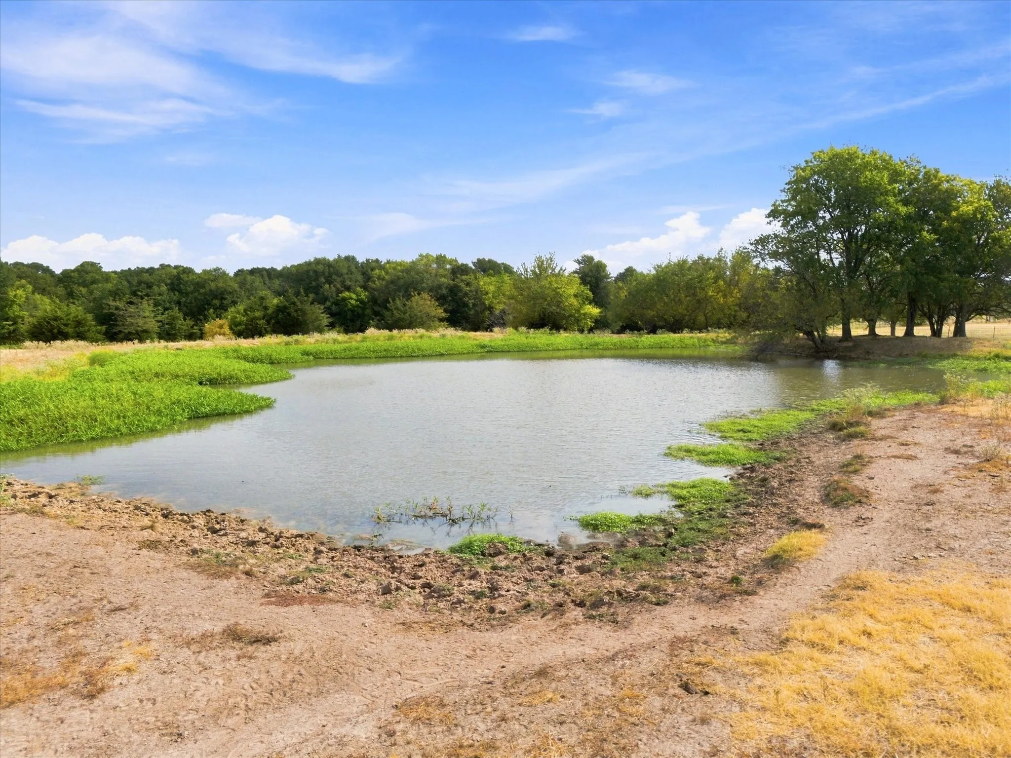 Unimproved Land For Sale in Delta County , 431 Fm 71, Commerce, Texas 75428, 0, 0, Garage spaces, 0 Sqft, built in 0, mls#21377733, Real Estate Agent in Commerce, Homes For Sale in Delta county, Homes For Sale in Commerce, Realtor in Commerce Texas, Real Estate Brokerage Independent Realty Texas, Luminita Cordes Realtor