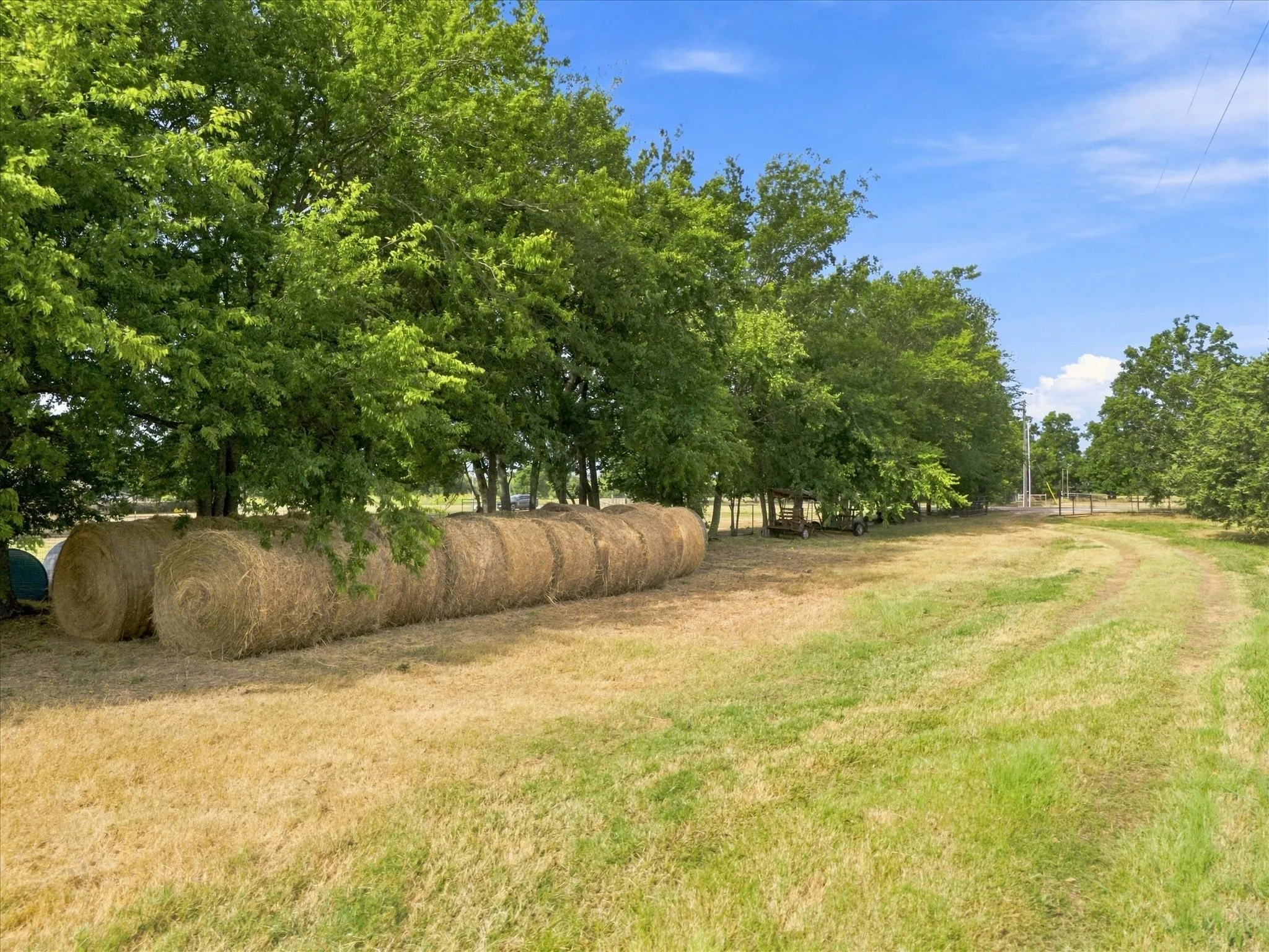Unimproved Land For Sale in Delta County , 431 Fm 71, Commerce, Texas 75428, 0, 0, Garage spaces, 0 Sqft, built in 0, mls#21377733, Real Estate Agent in Commerce, Homes For Sale in Delta county, Homes For Sale in Commerce, Realtor in Commerce Texas, Real Estate Brokerage Independent Realty Texas, Luminita Cordes Realtor